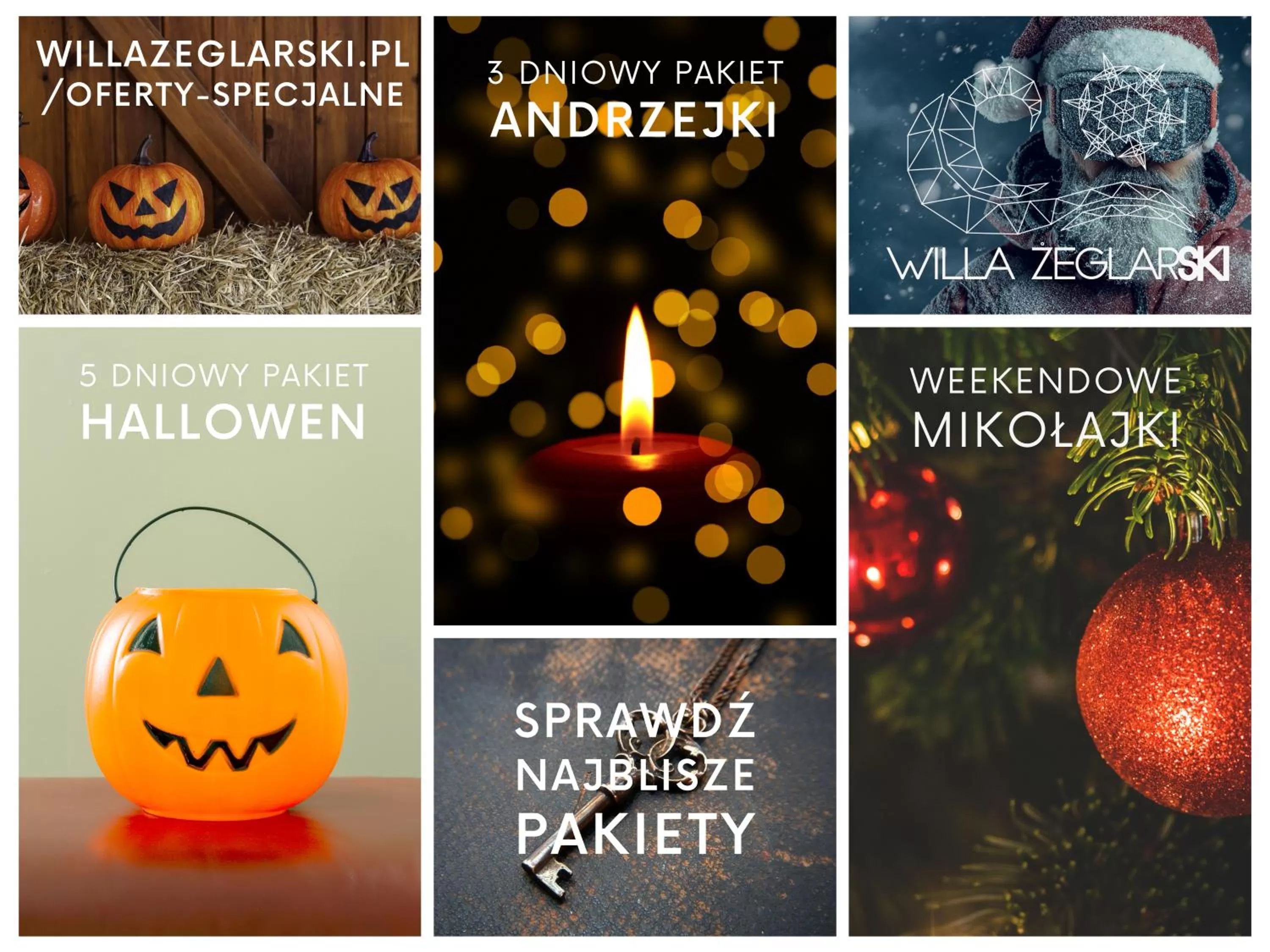 Logo/Certificate/Sign in Willa ŻeglarSki