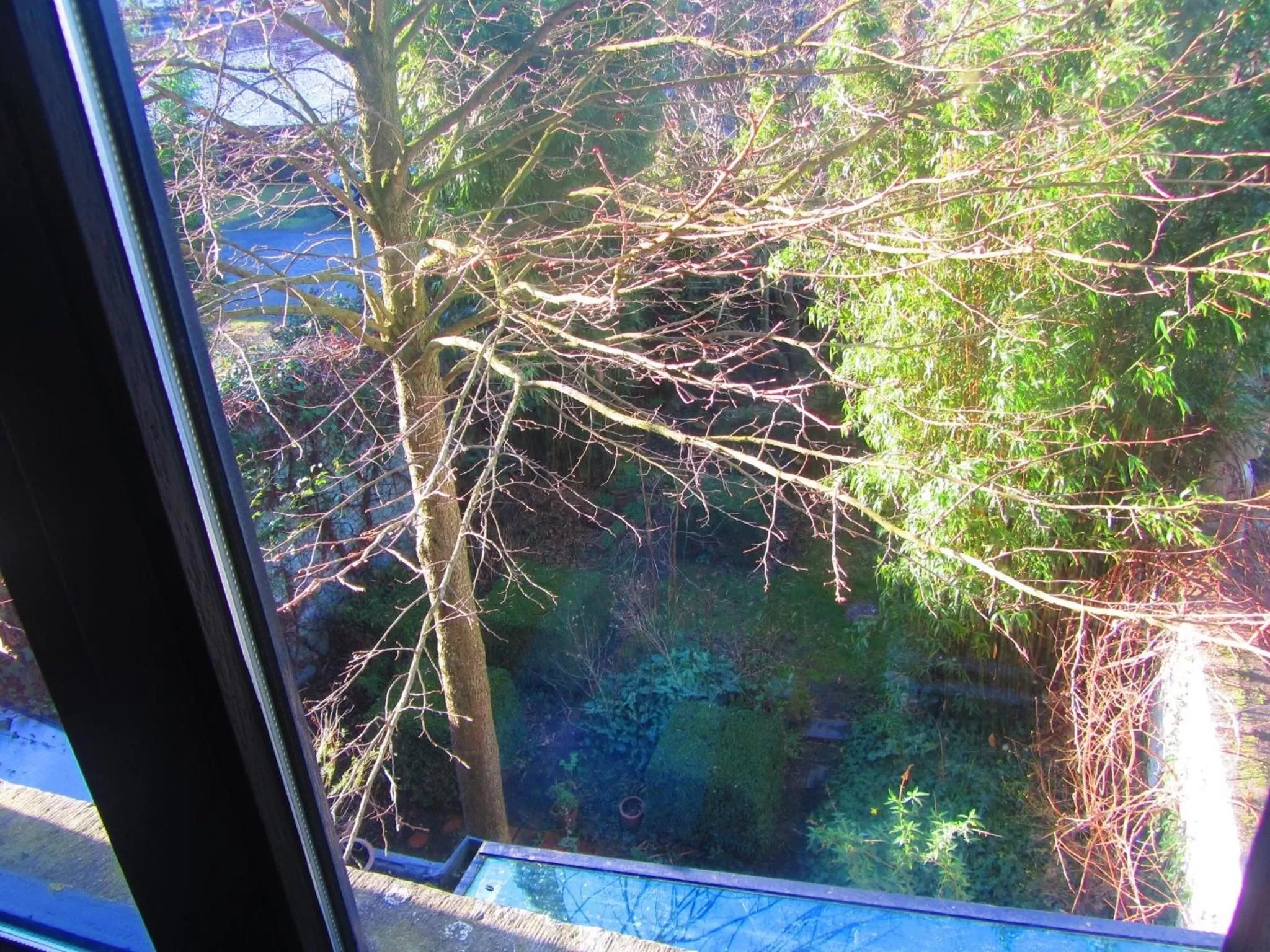 View (from property/room) in B&B Faja lobi