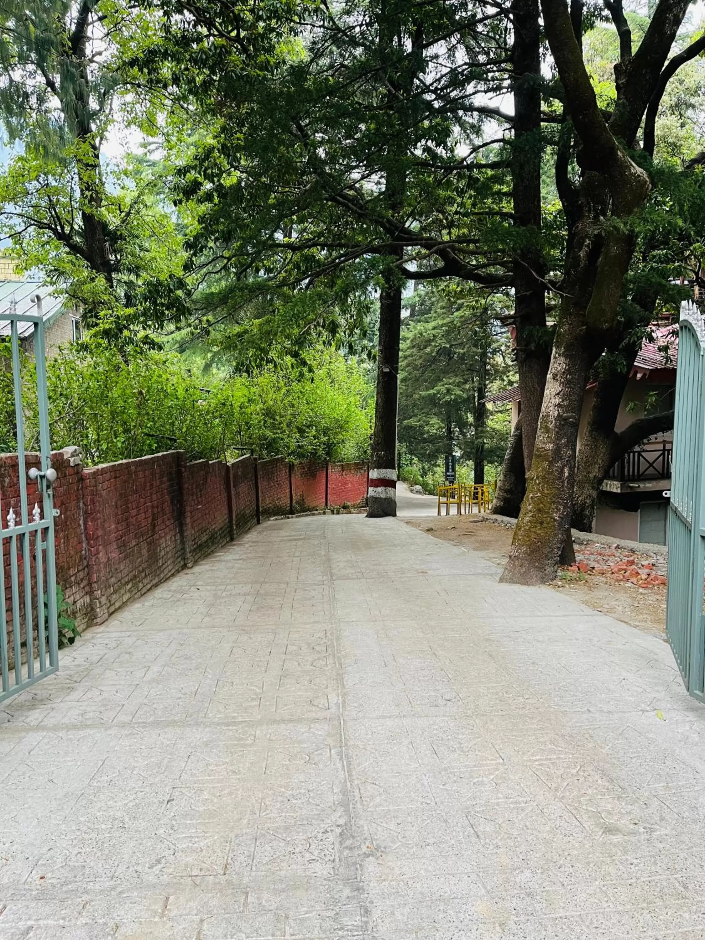 Garden in Cedar Woods Resort