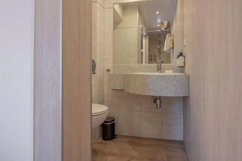 Bathroom in Boutique Hotel Slenaker Vallei - Buitengewoongenieten