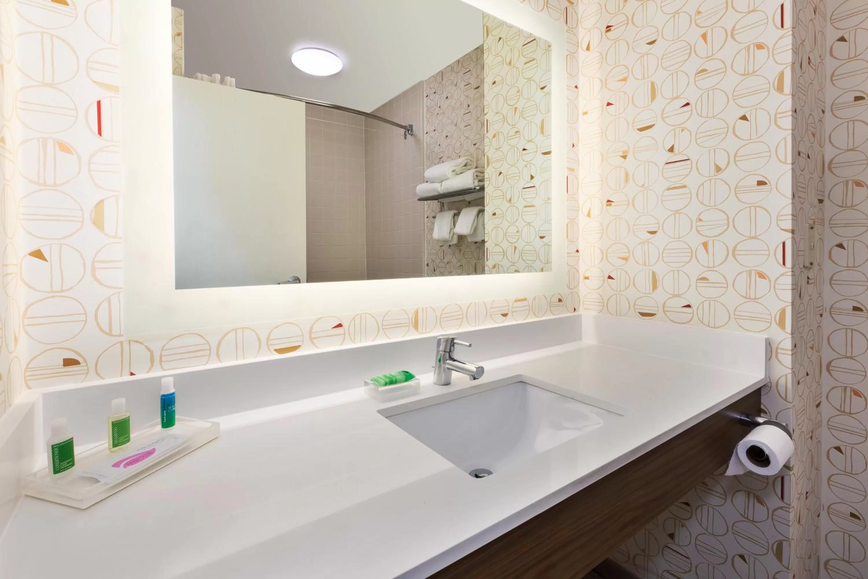 Bathroom in Holiday Inn Grand Rapids - South by IHG