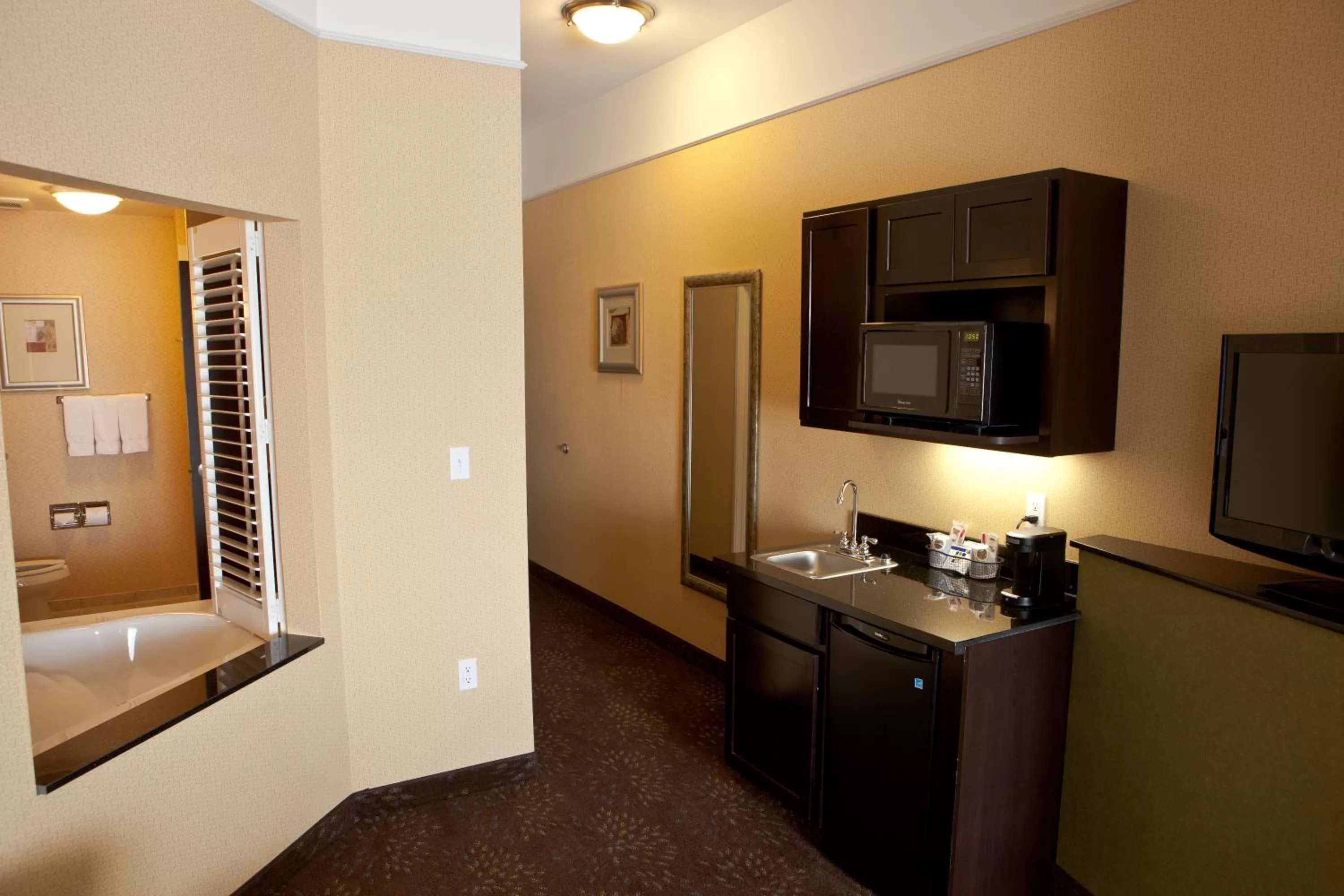 Photo of the whole room in Holiday Inn Express Hotel & Suites Lansing-Dimondale by IHG