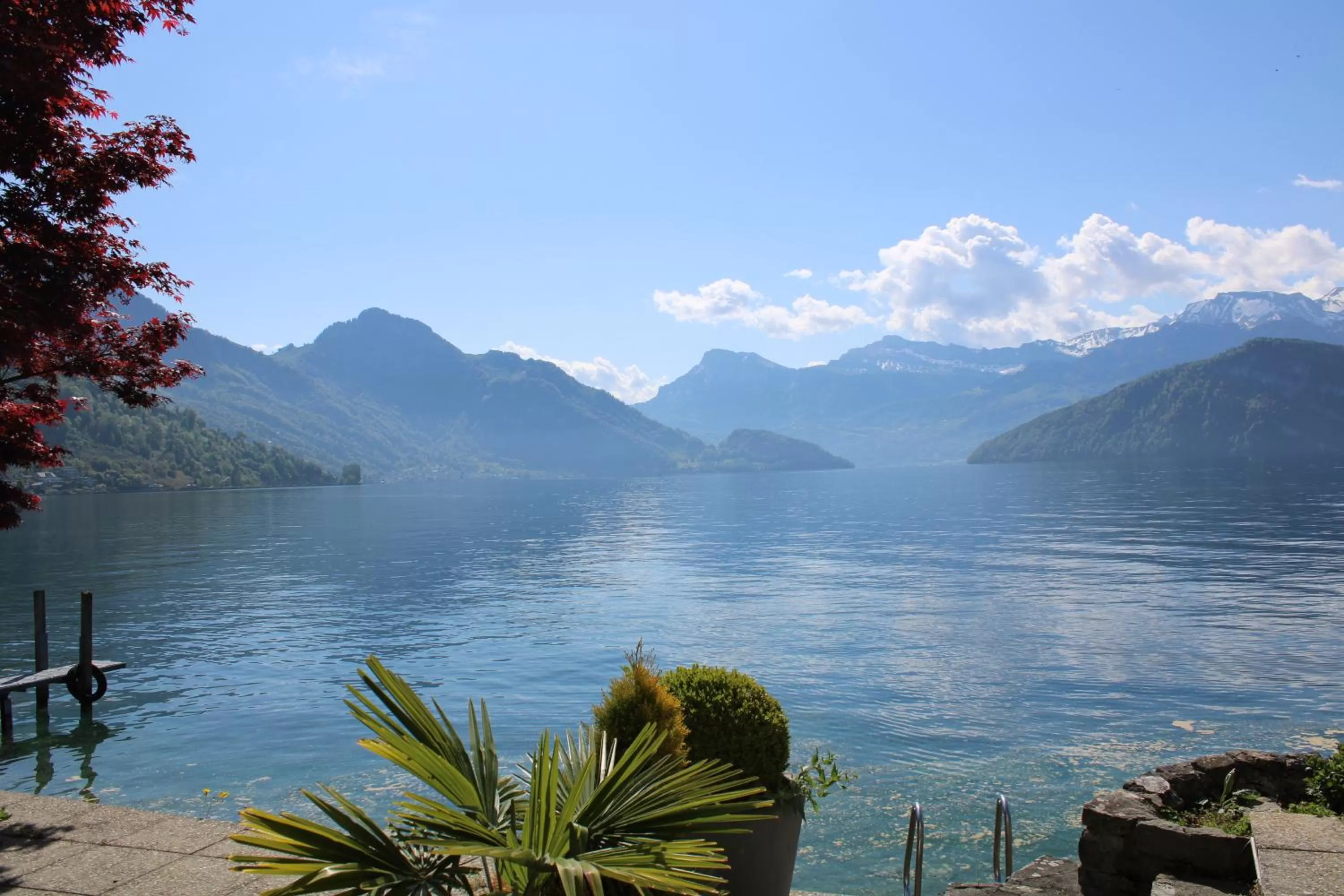 Garni-Hotel Frohburg - Beau Rivage Collection