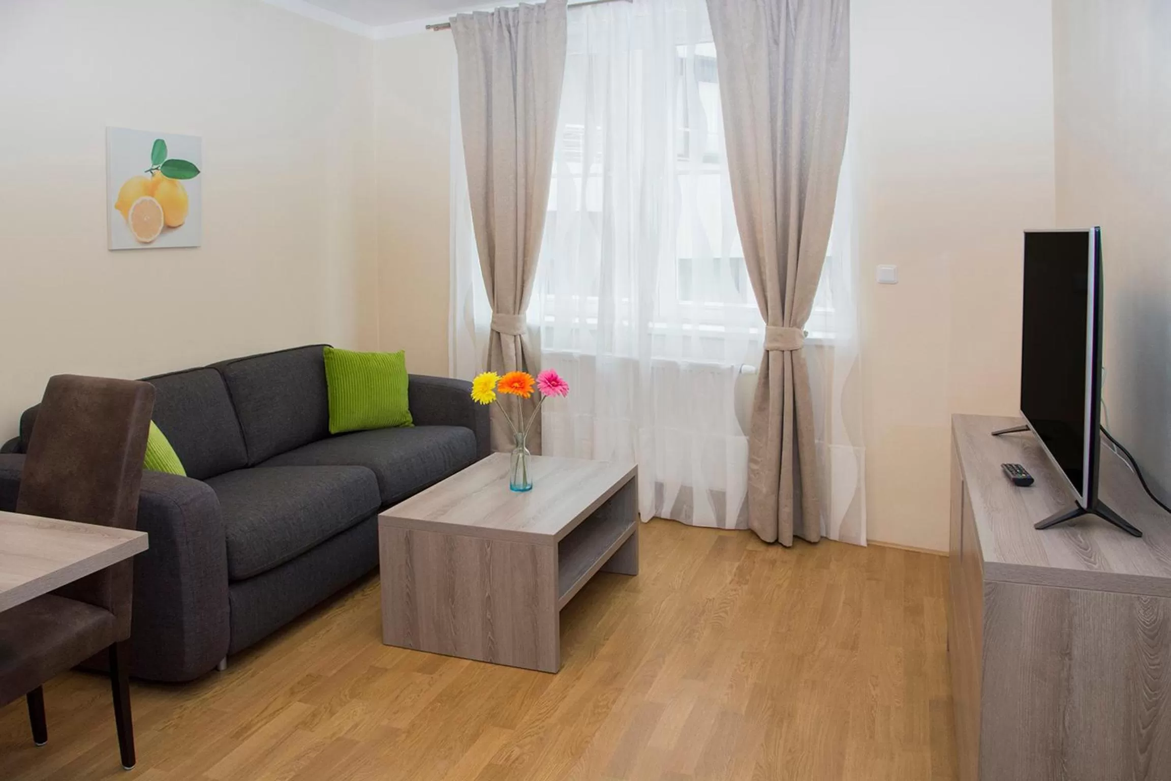 TV and multimedia in Limes Apartments