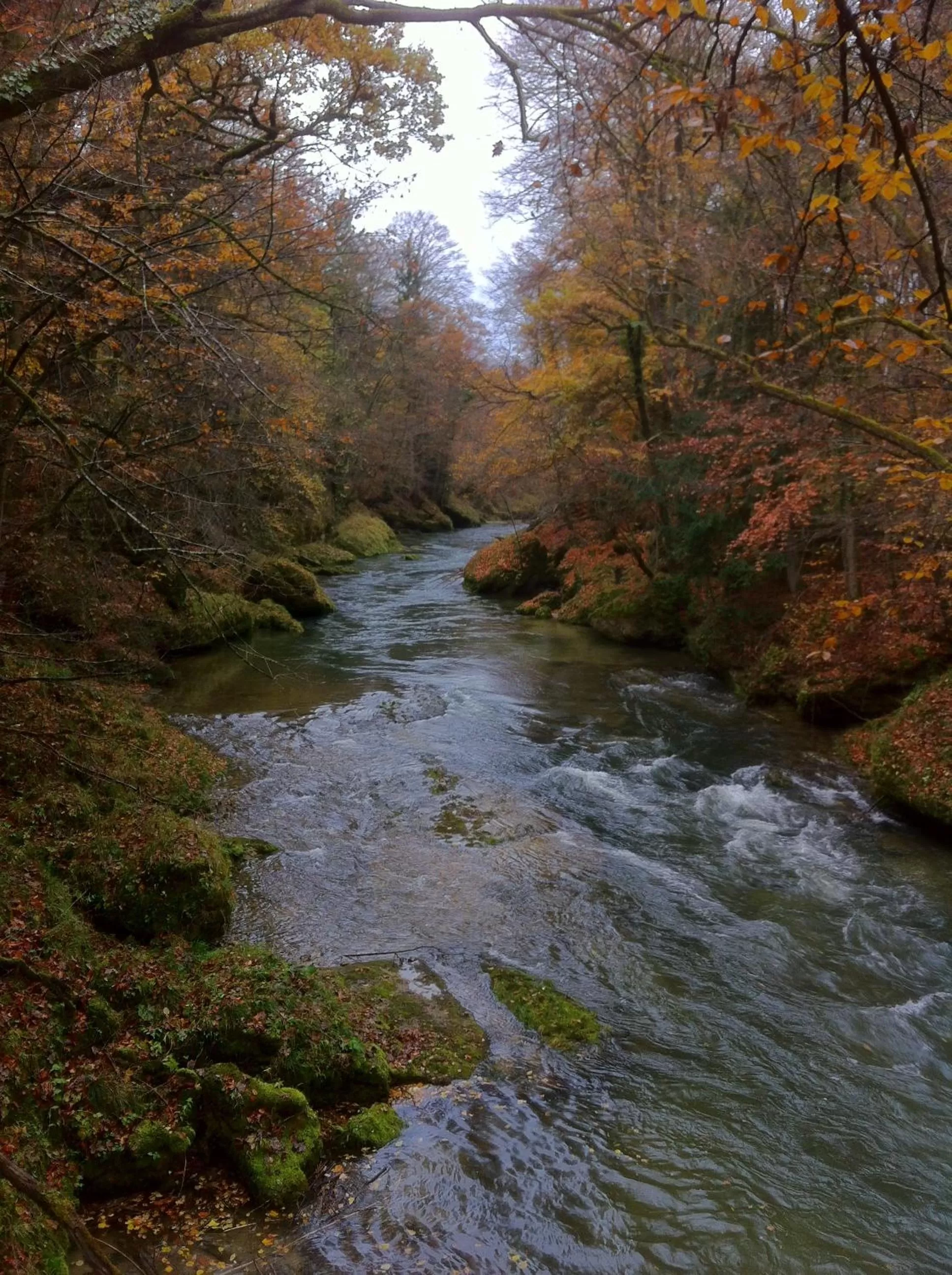 Nearby landmark, Natural Landscape in Gasthof Teufl
