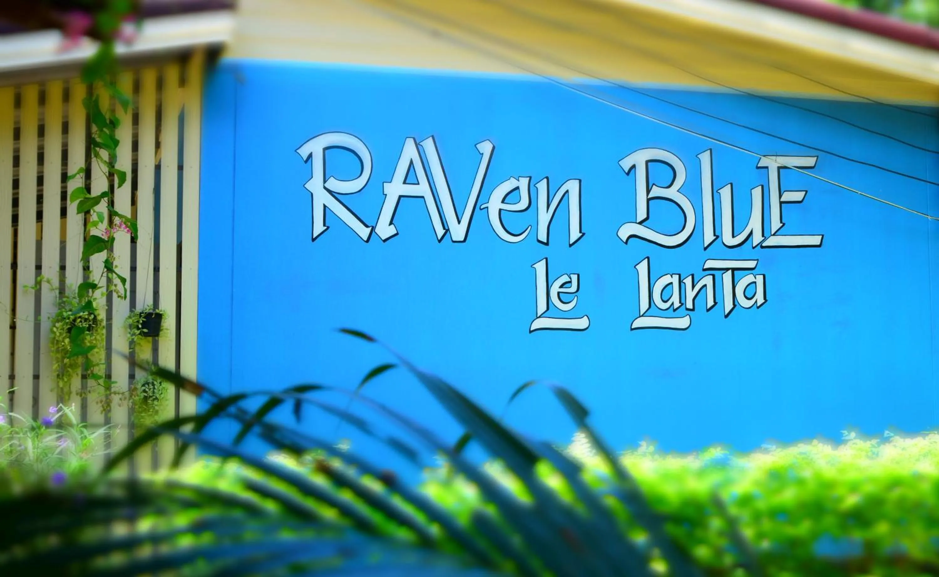 Property logo or sign in Raven Blue