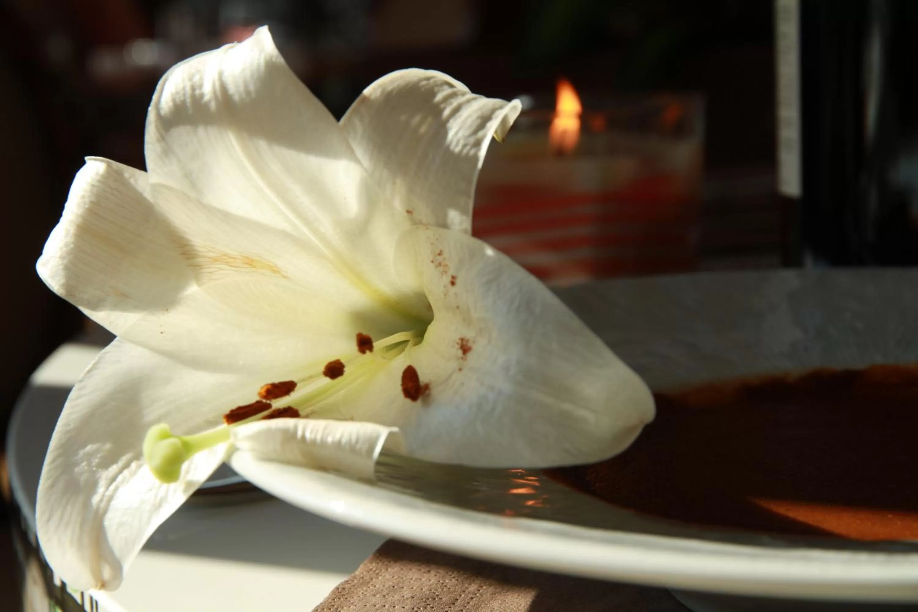 Decorative detail in Kyriad Montpellier Nord Parc Euromédecine