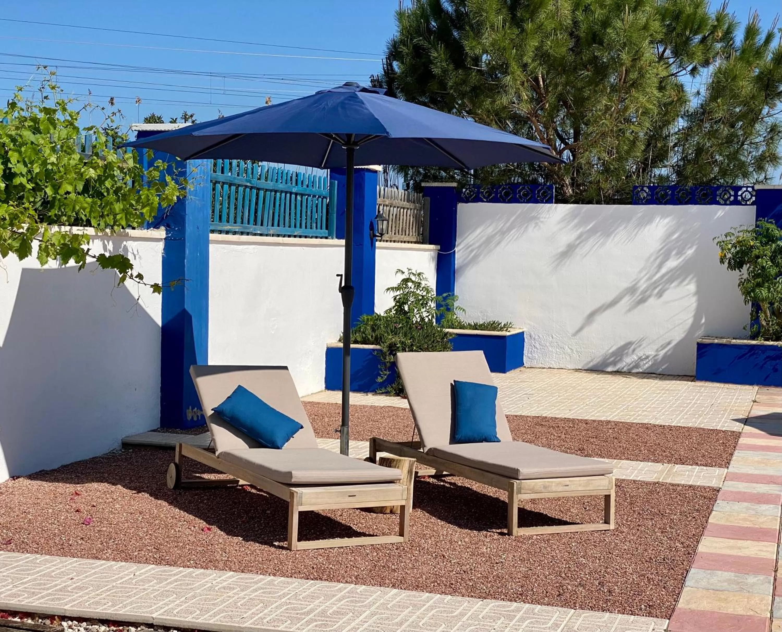 Garden in B&B Casa Azul