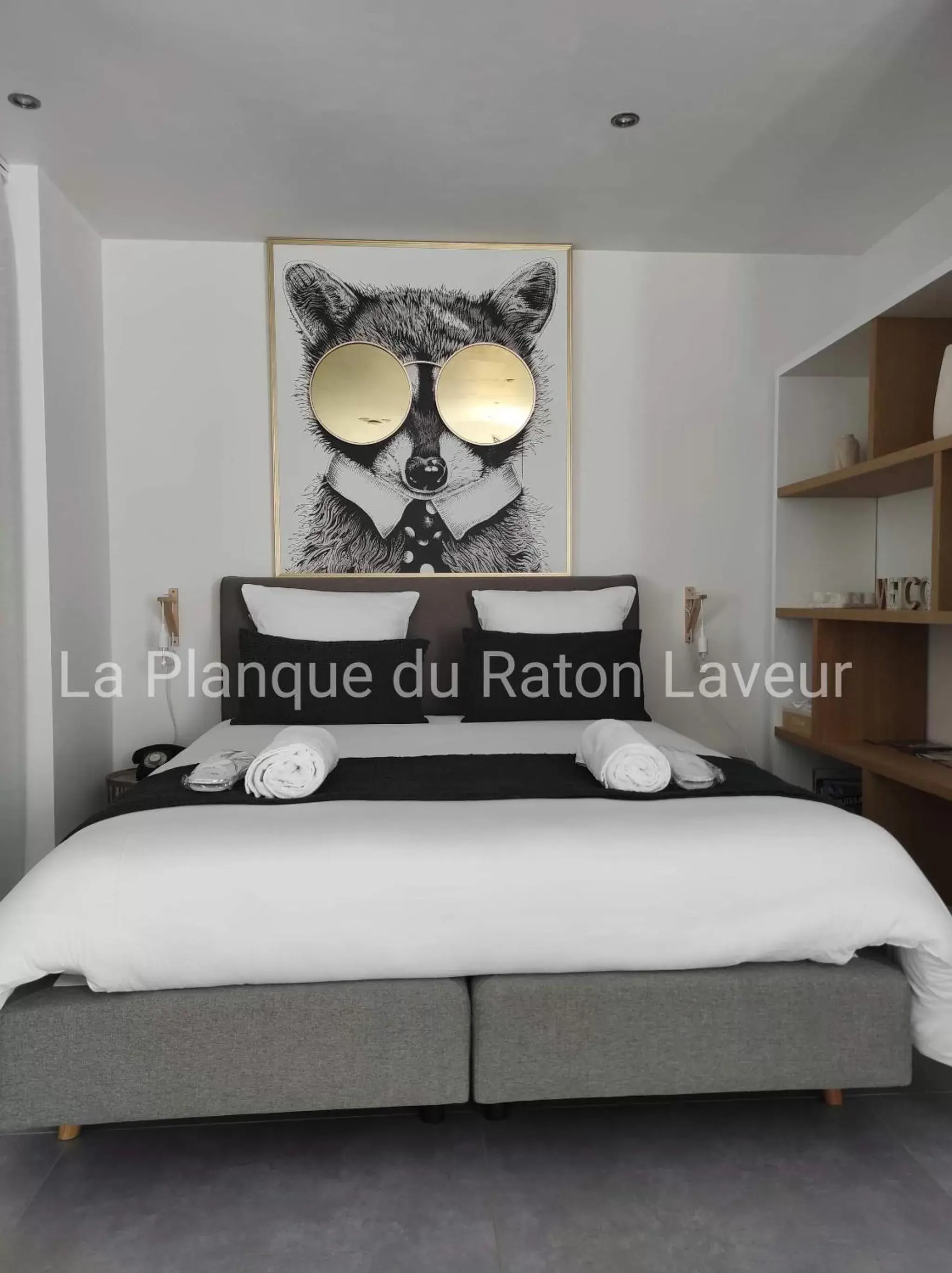 Double Room in La planque du raton laveur Double Room in La planque du raton laveur