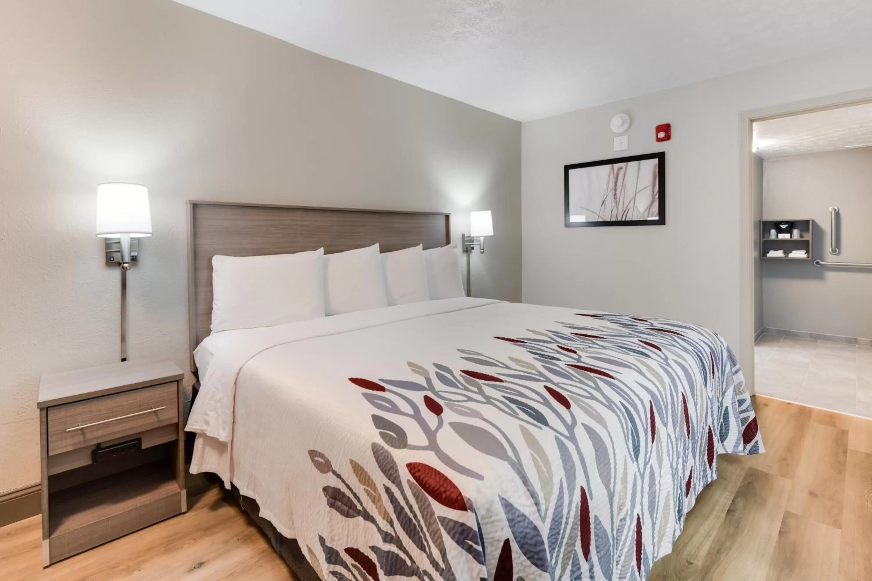 Photo of the whole room, Bed in Red Roof Inn Dayton - Moraine/U of Dayton