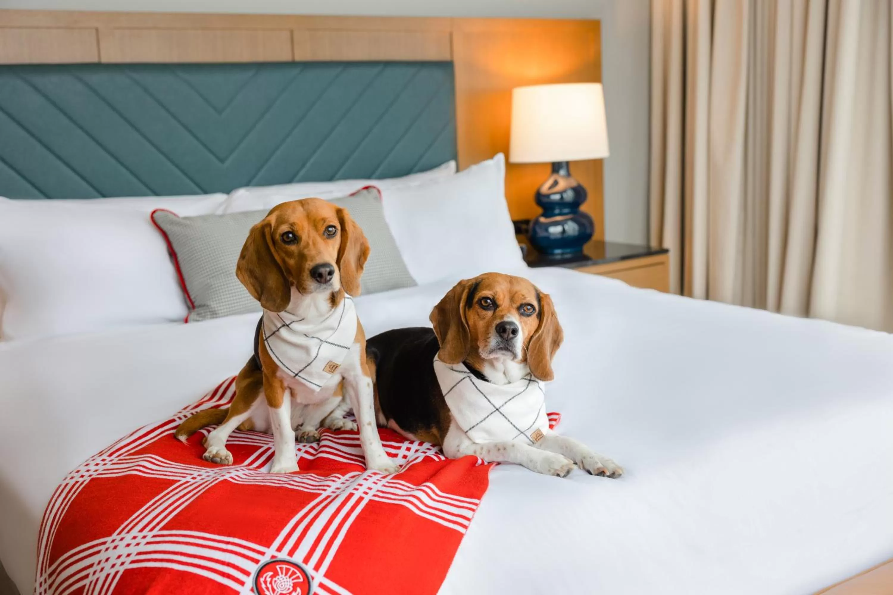 Bedroom, Bed in The Highlander at Radford, Tapestry Collection by Hilton