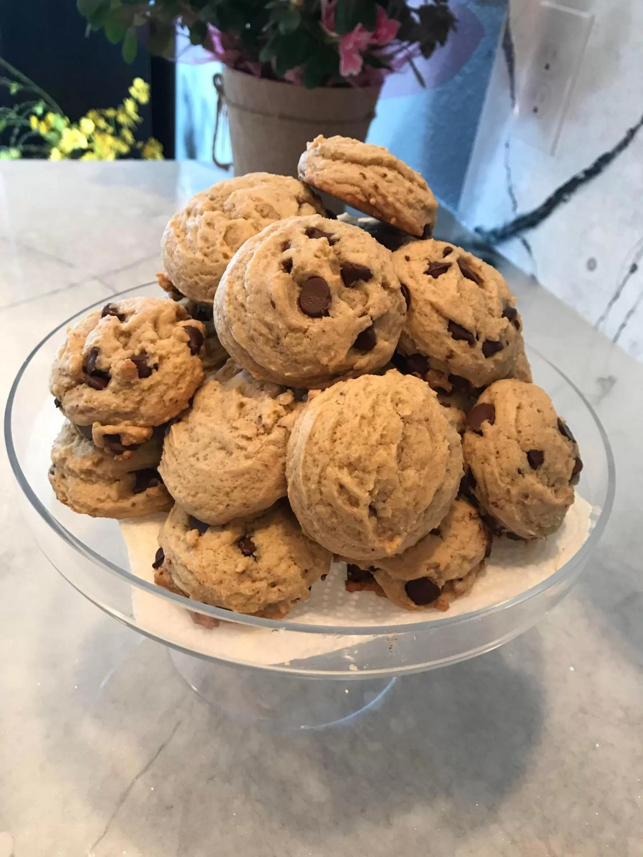 Meals in Castle Creek Manor