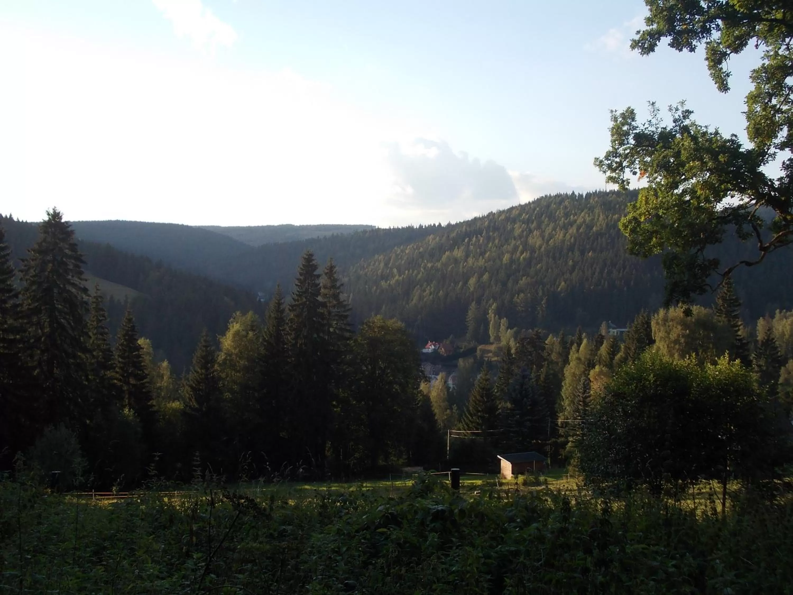 View (from property/room), Natural Landscape in Pension U Jelinka