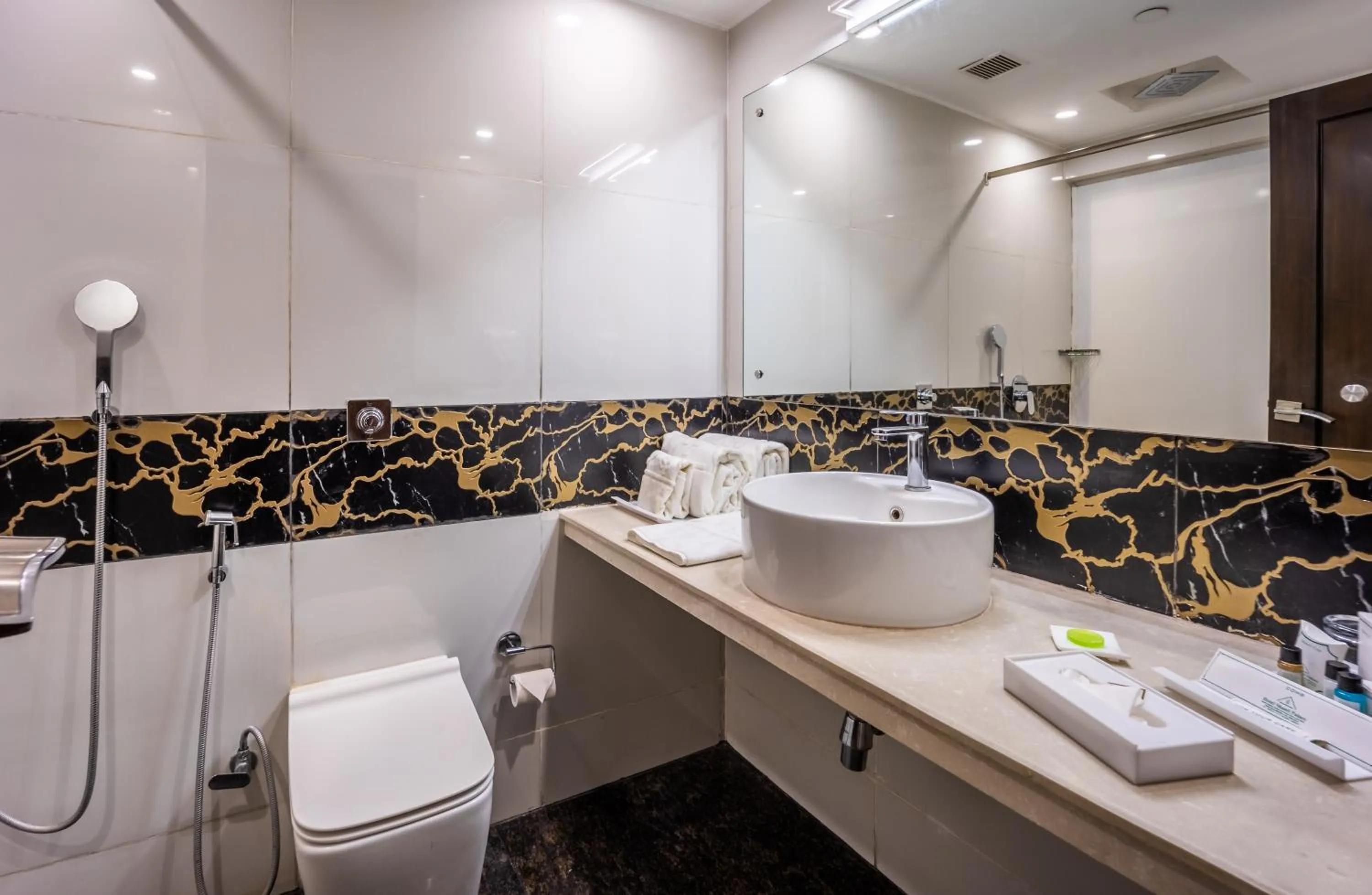 Bathroom in Hotel Shanti Palace Mahipalpur