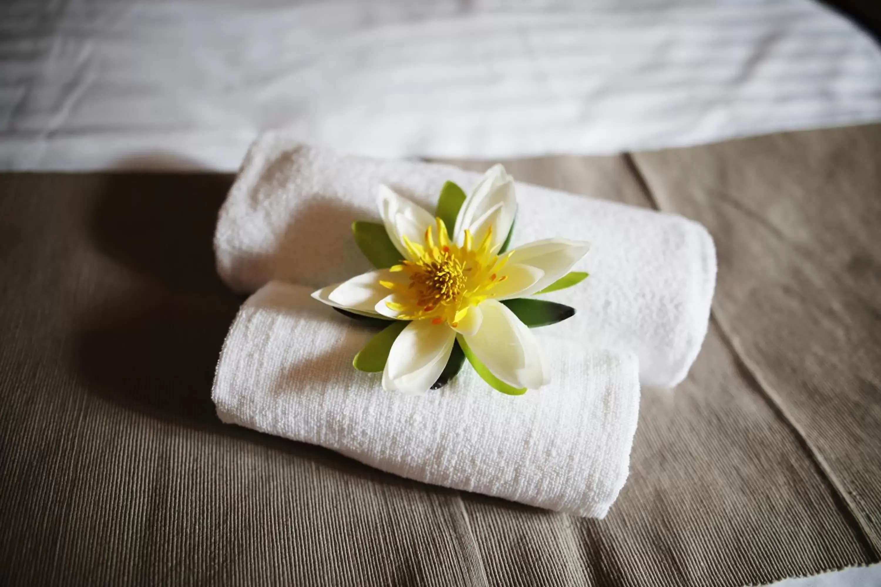 Standard Double or Twin Room with Garden View in Hotel Farma Vysoká Standard Double or Twin Room with Garden View in Hotel Farma Vysoká