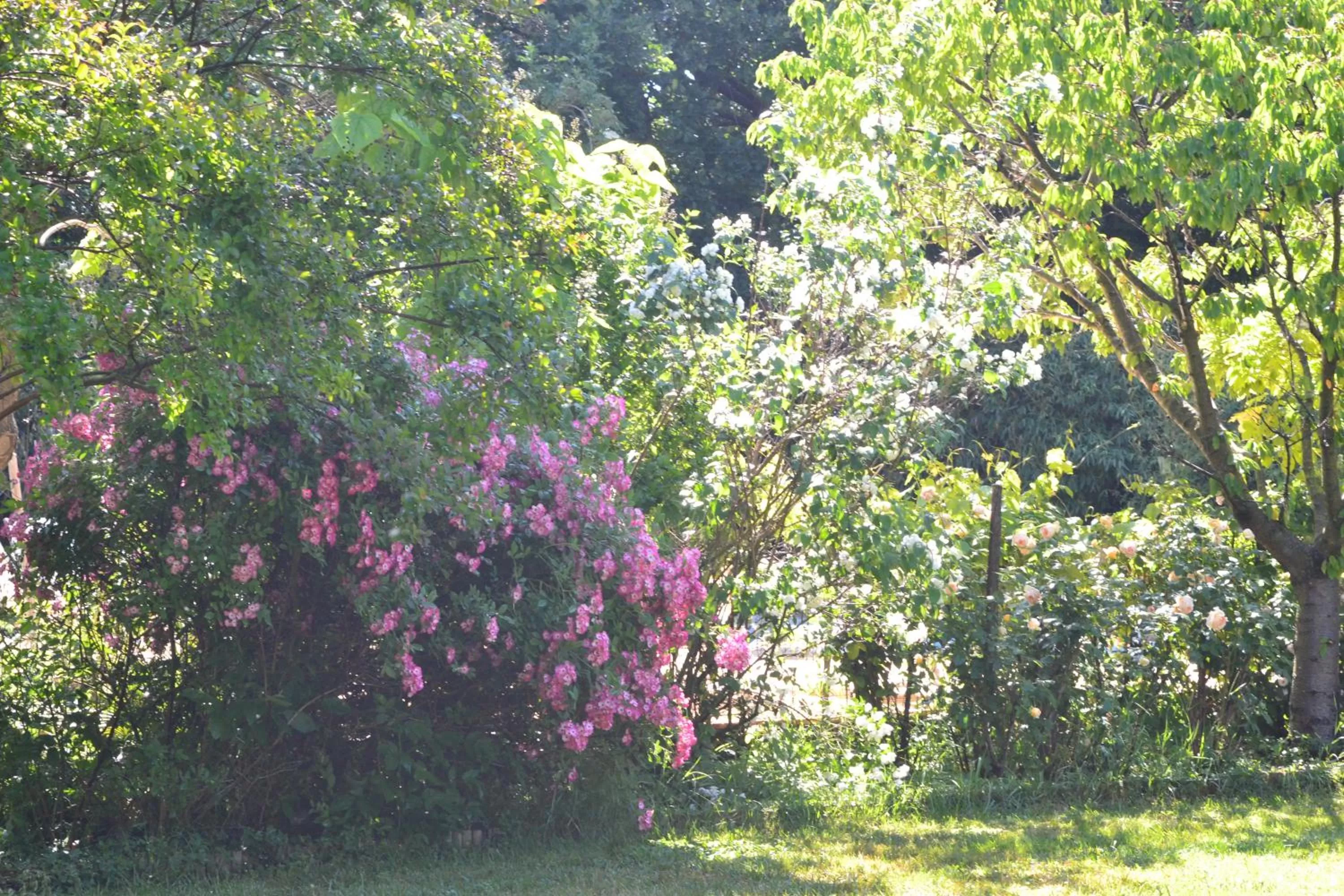 Property building in Le Pavillon Vert - B&B