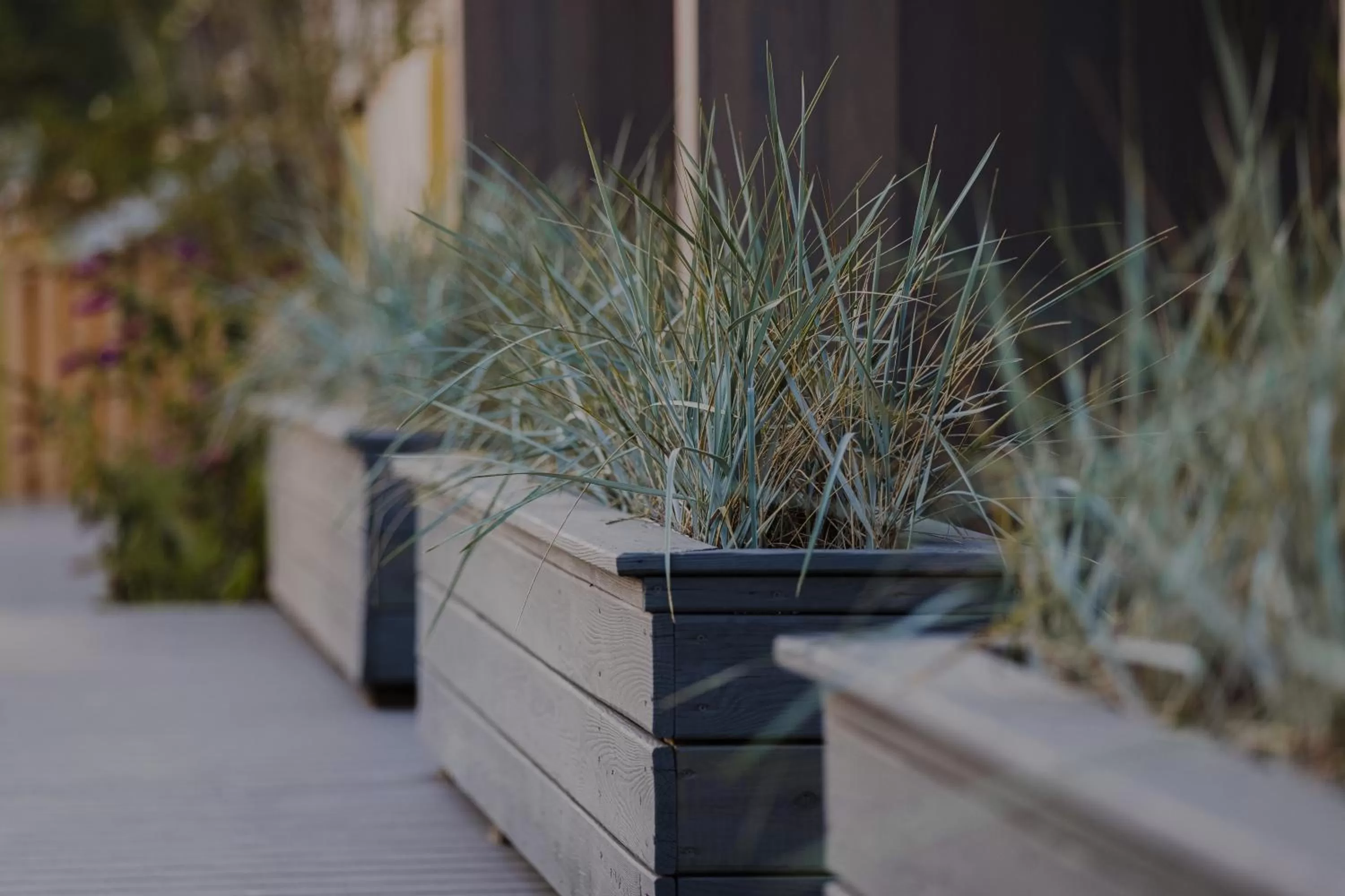 Facade/entrance in The Shoals Suites & Slips