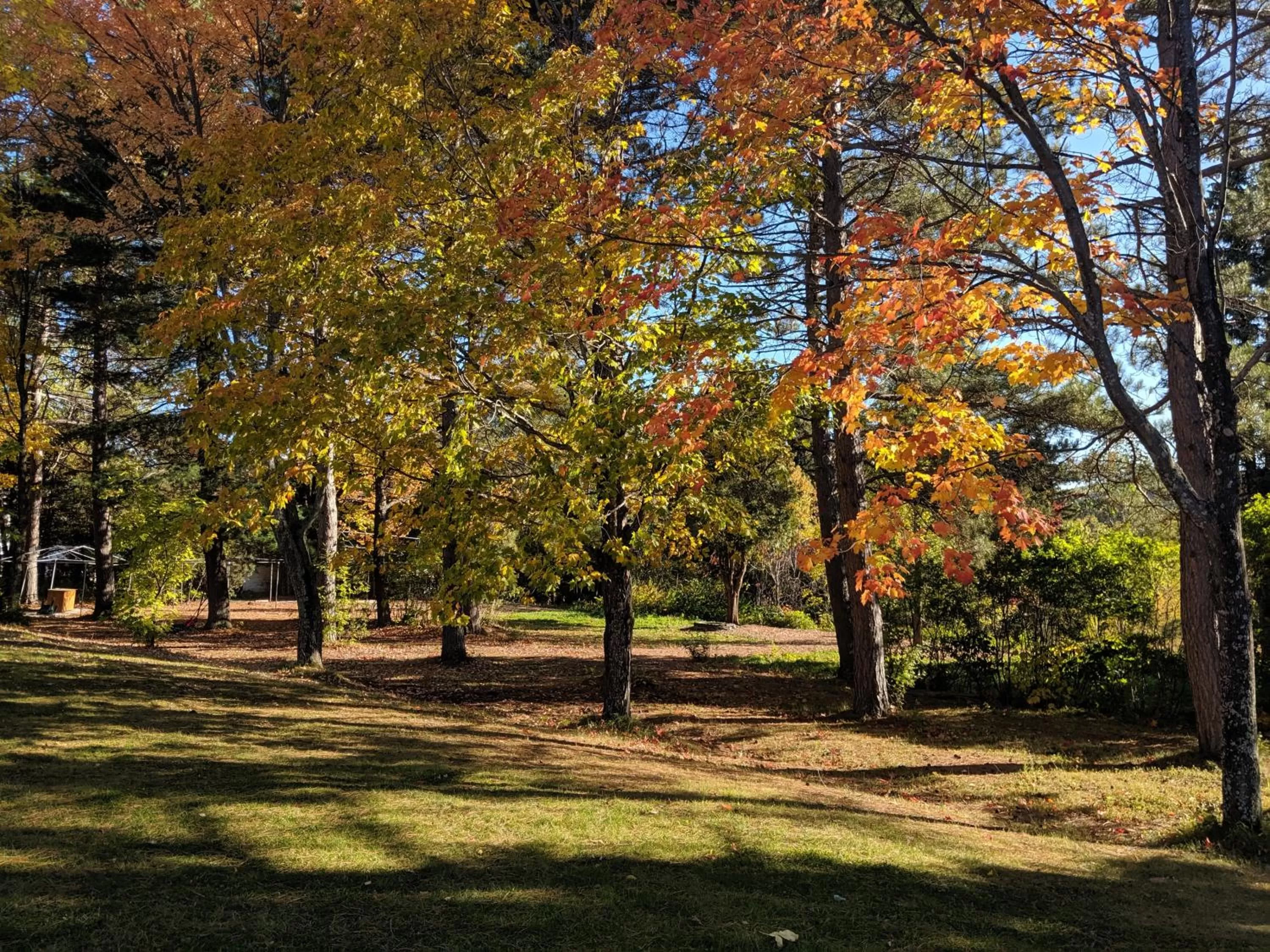 Garden in Maison Zacharie