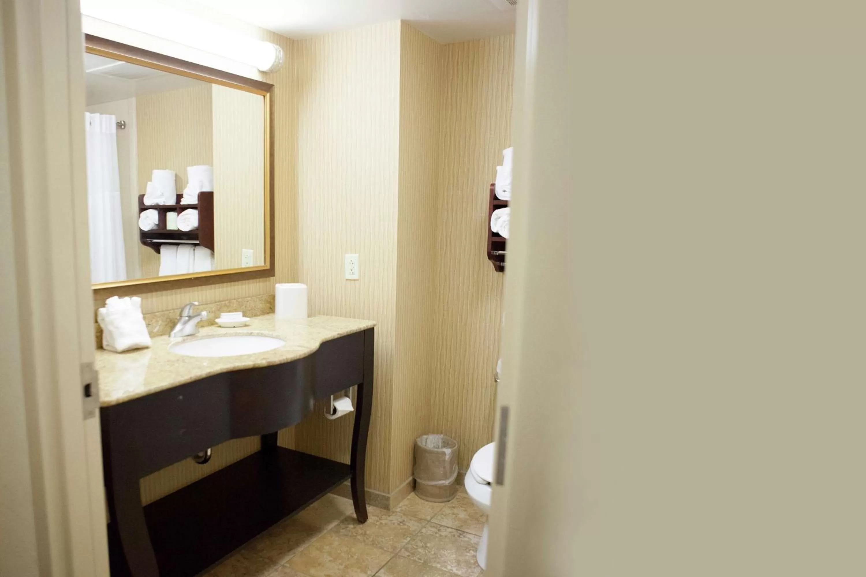 Bathroom, Bed in Hampton Inn Rochester-Webster