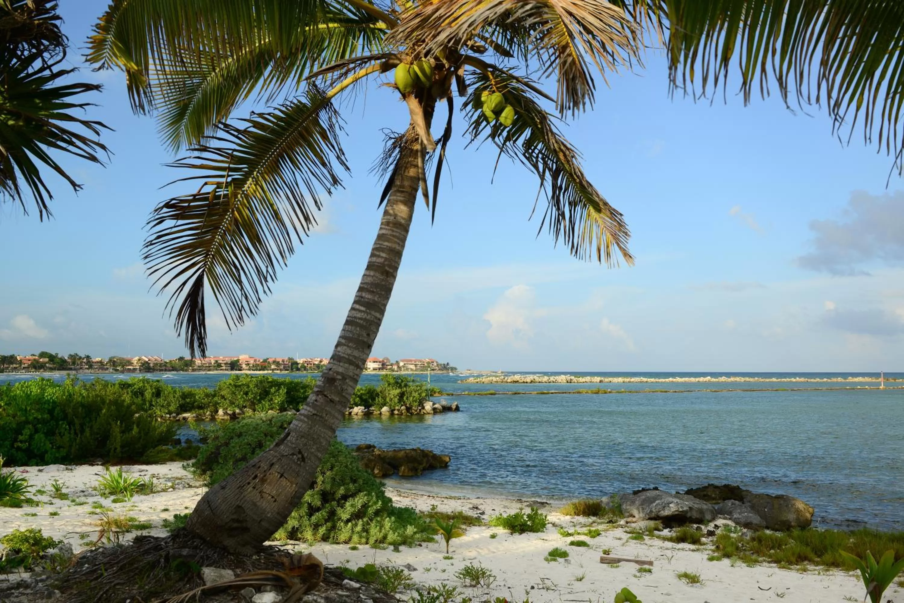 Area and facilities in B&B Mom's House