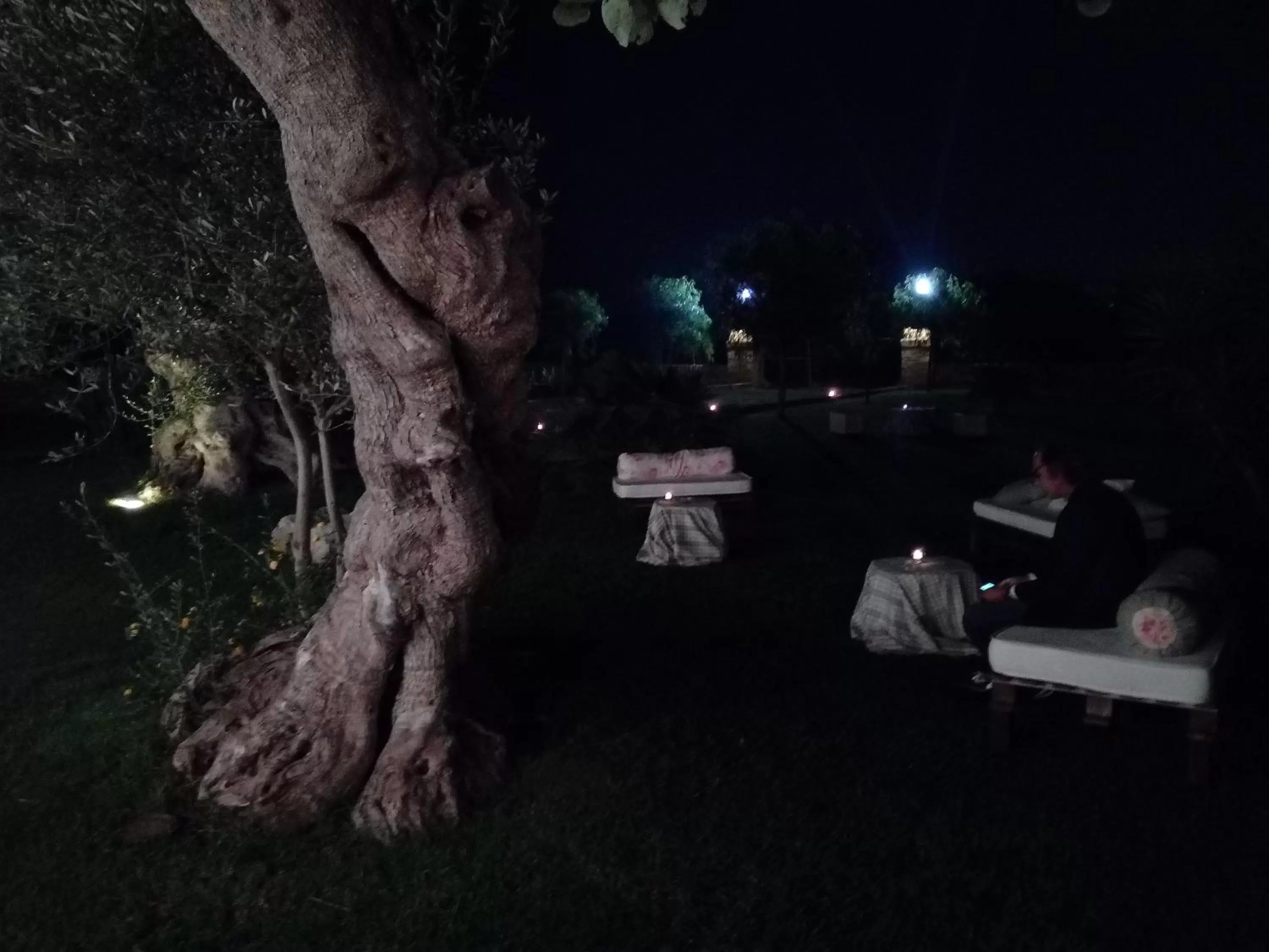 Garden in Agriturismo Masseria Alberotanza