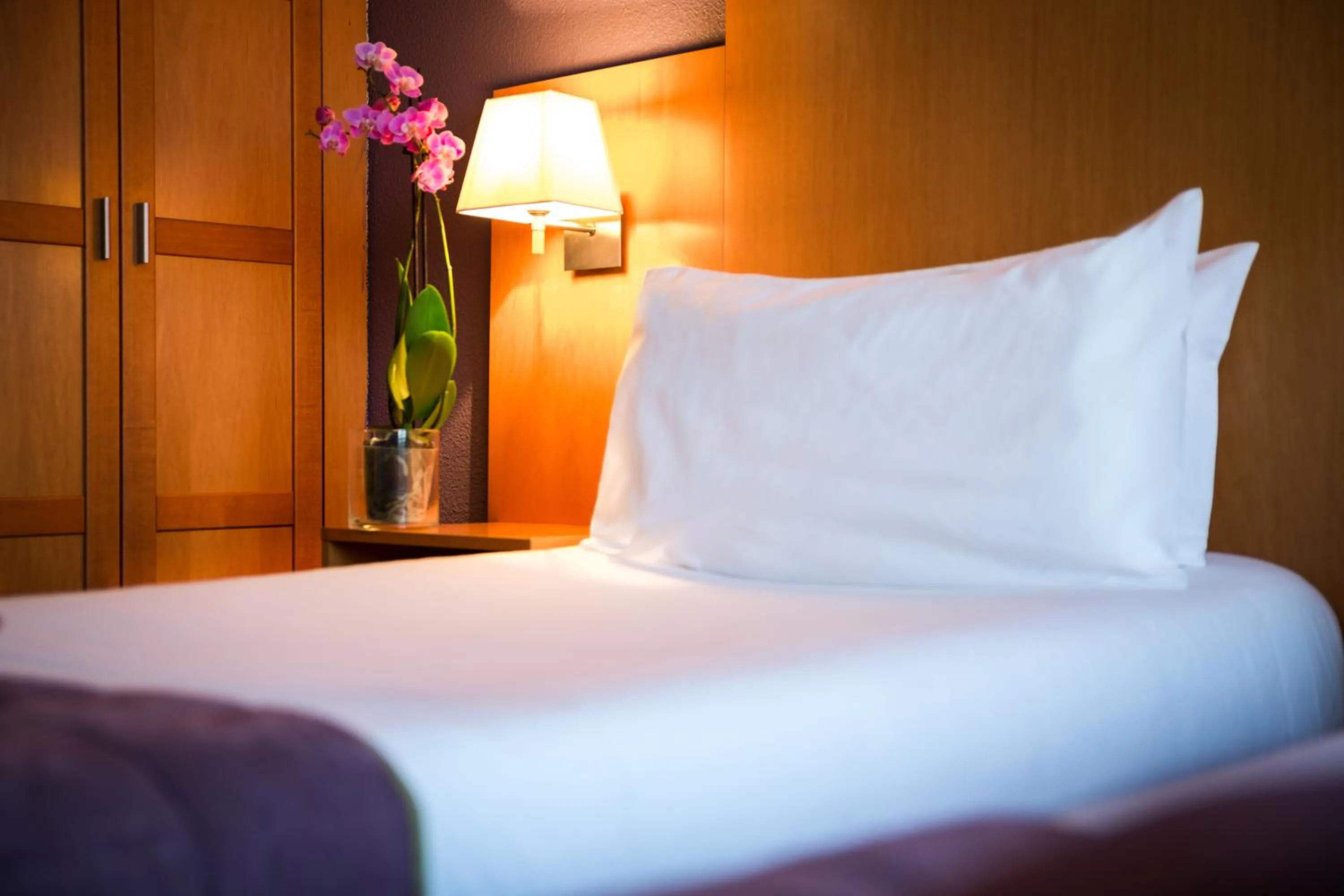 Decorative detail, Bed in Hôtel Christina Lourdes