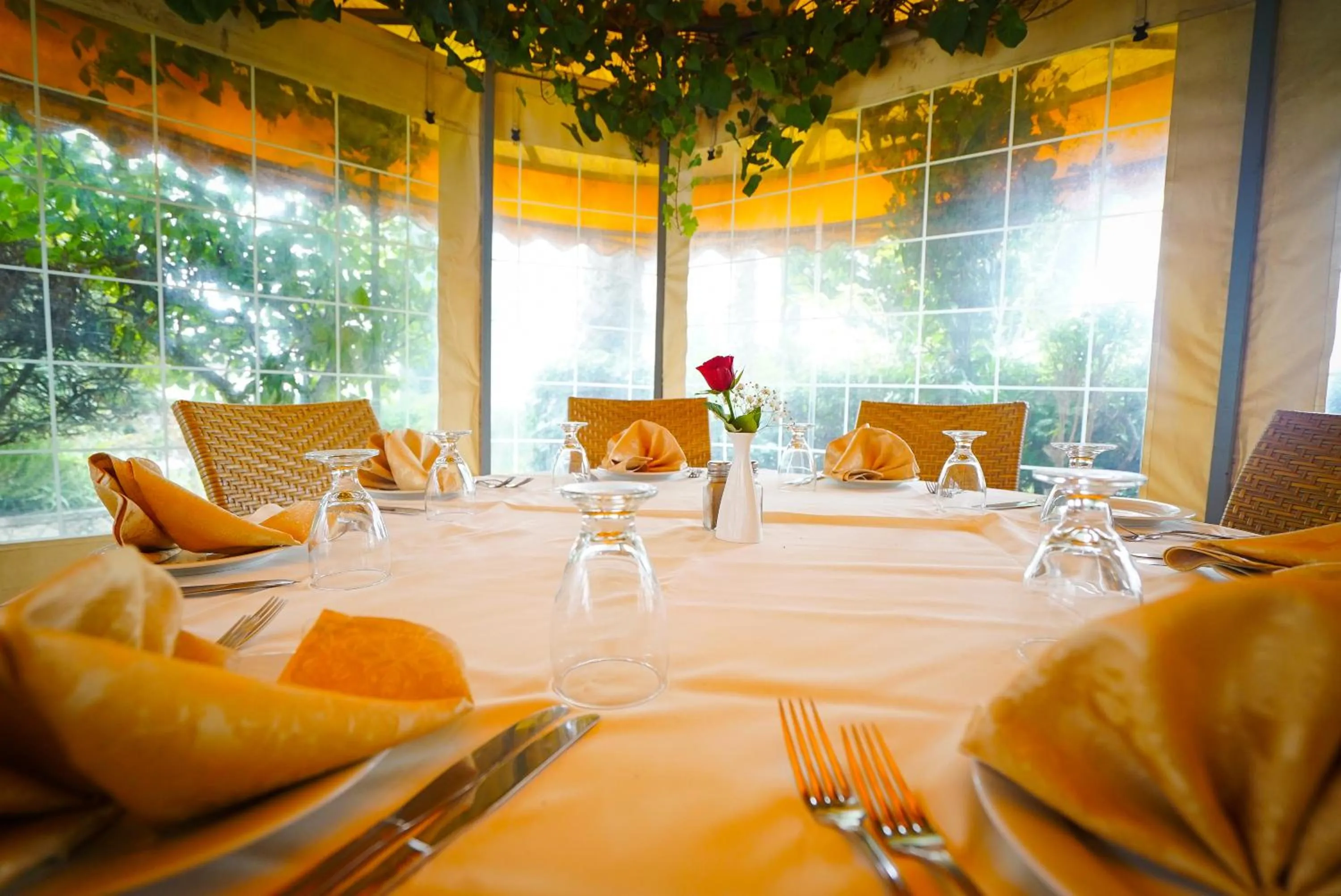 Restaurant/places to eat in Ambassador Hotel