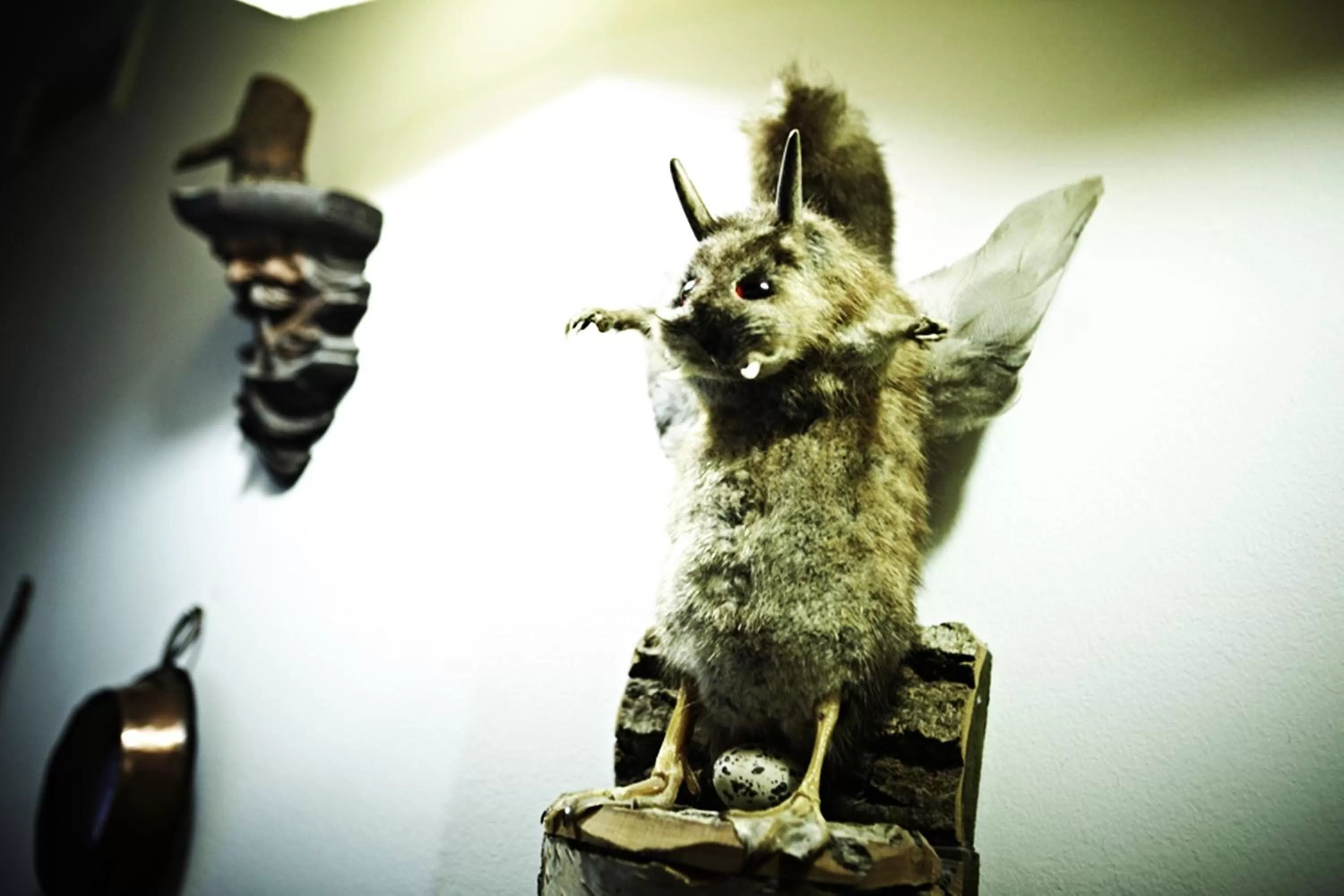 Other in Hotel Drei Mohren