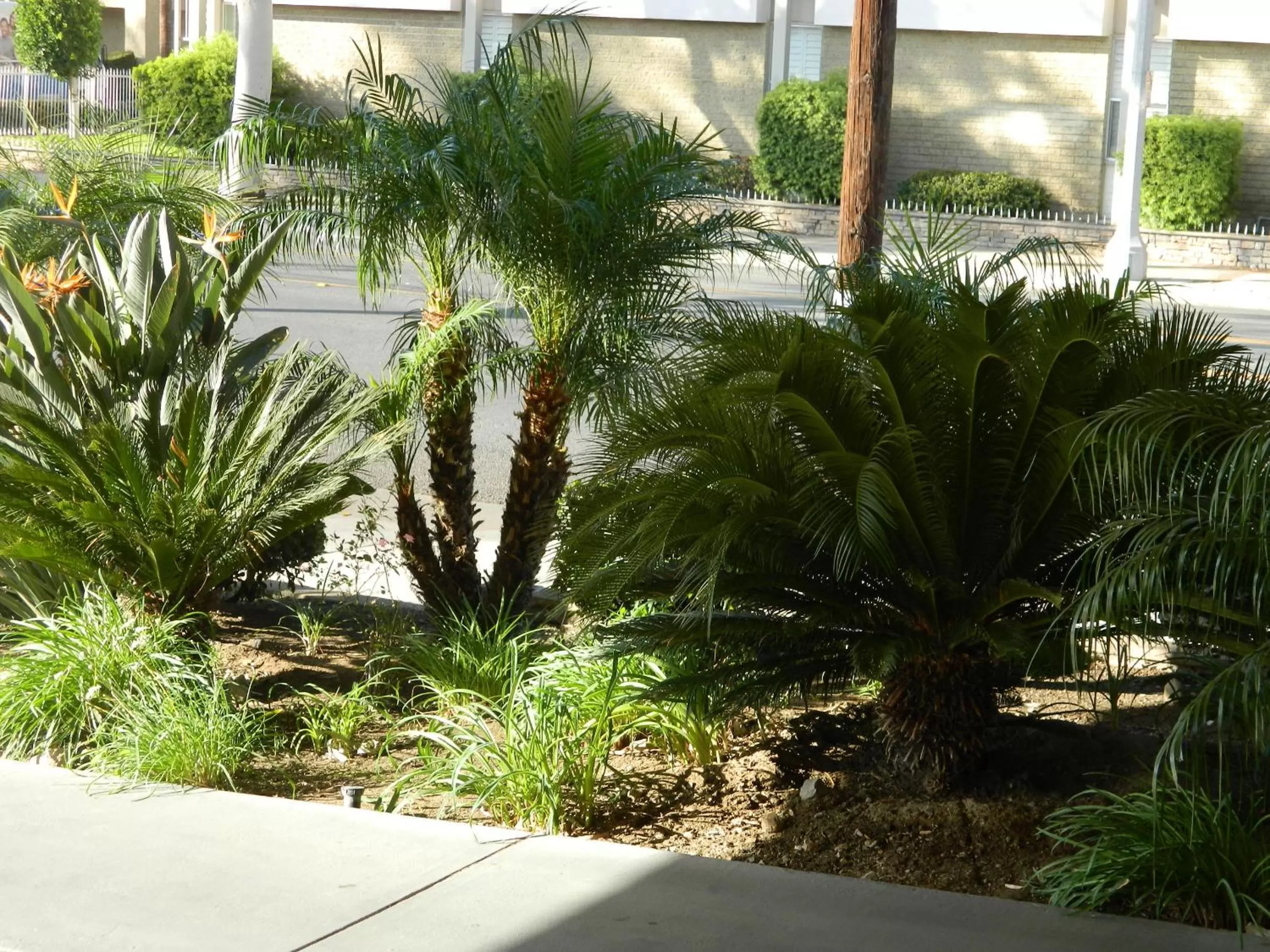 Street view in Welcome Inn Corona