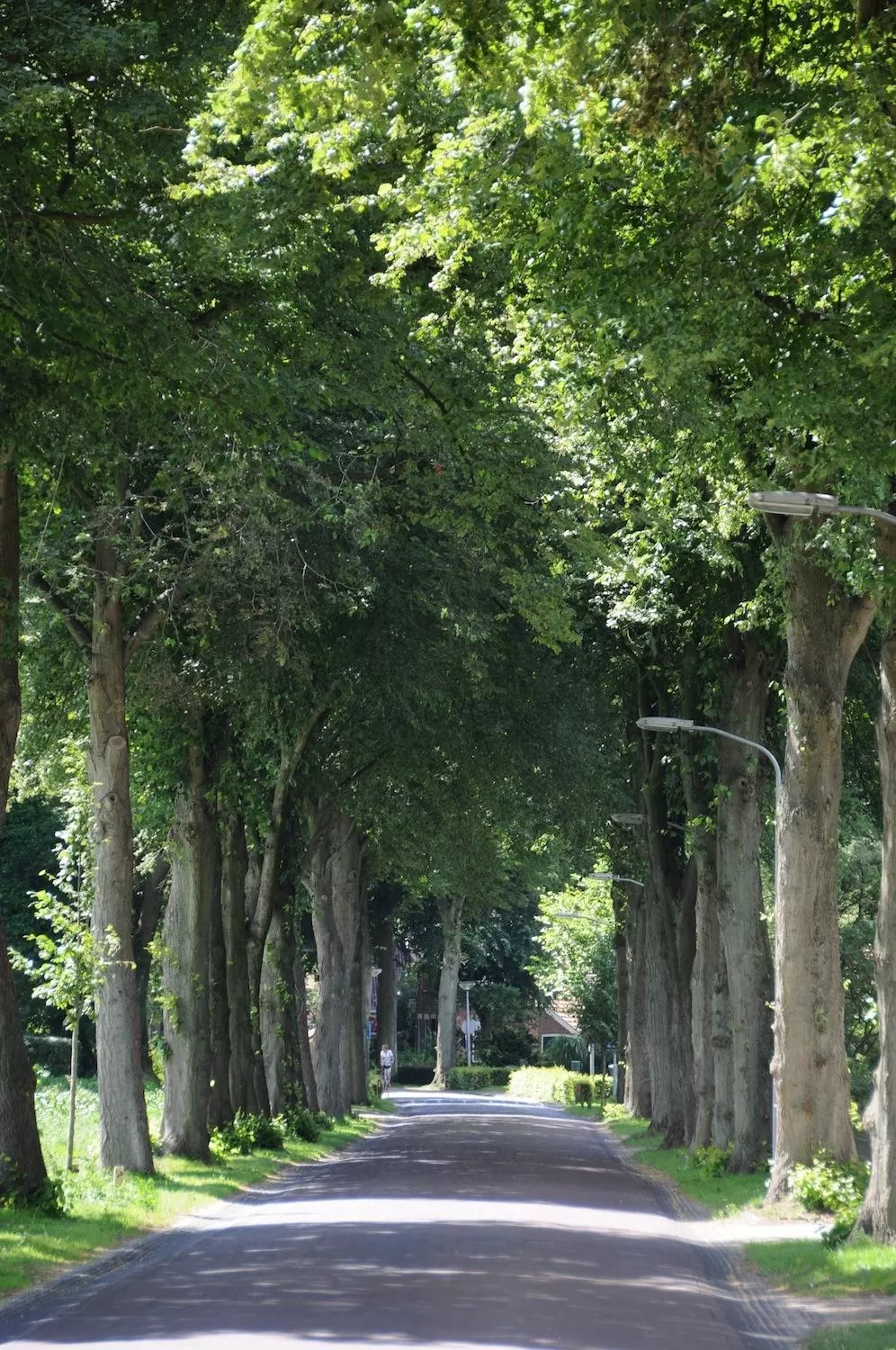 Off site in De Violier