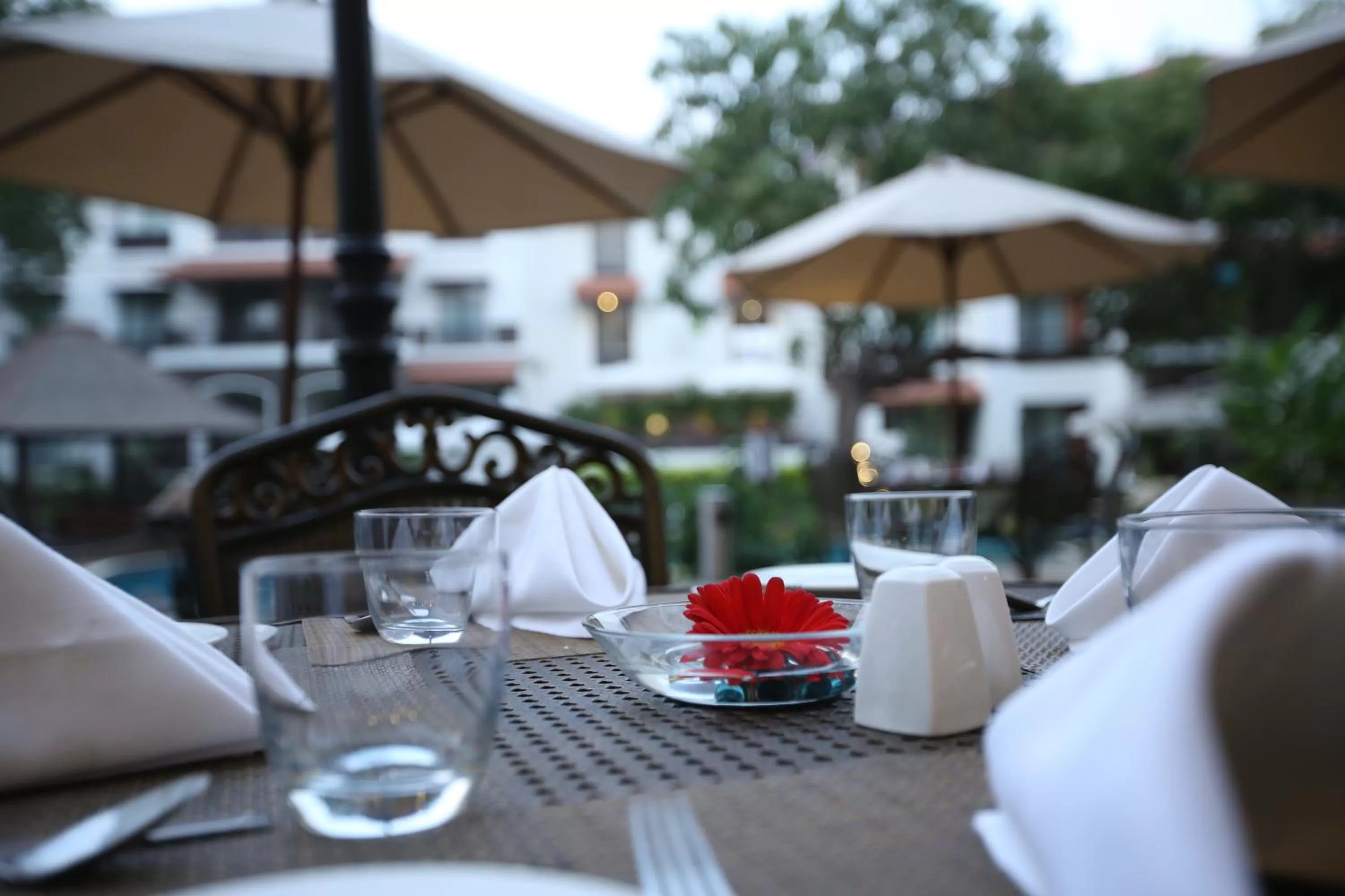 Restaurant/places to eat in Rhythm Lonavala - An All Suite Resort