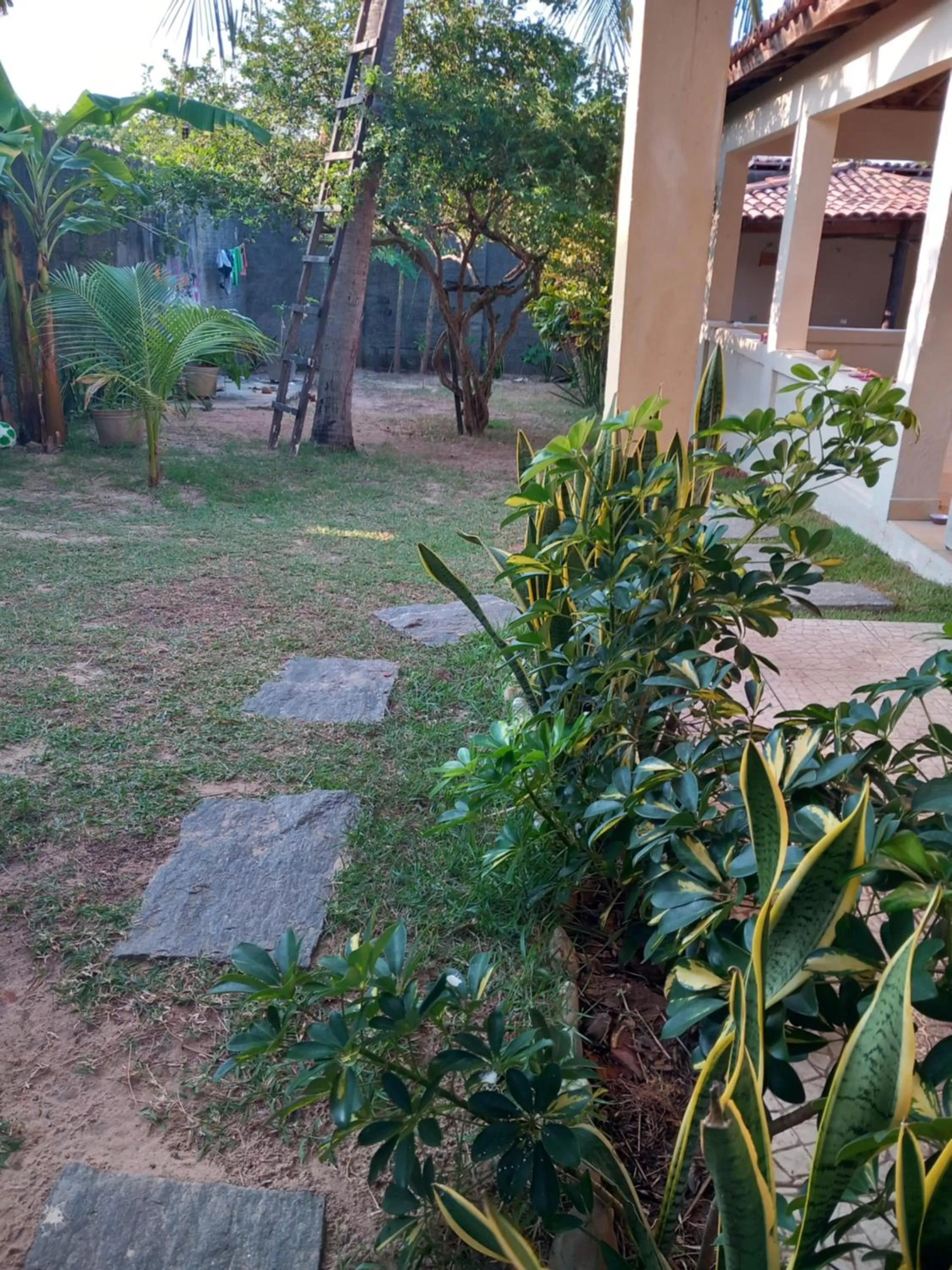 Garden in B&B Pedra do Meio