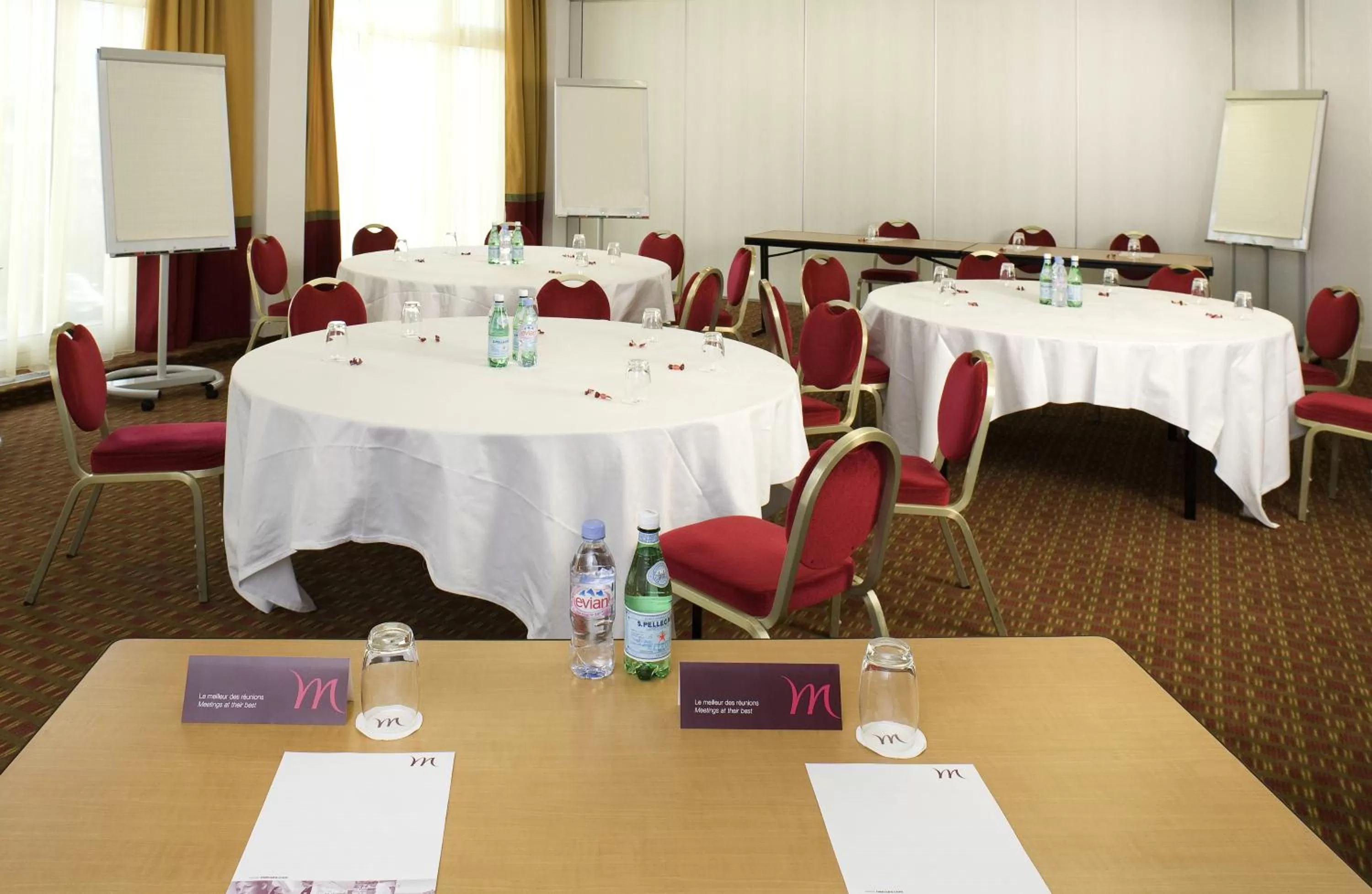 Business facilities in Mercure Annemasse Porte De Genève