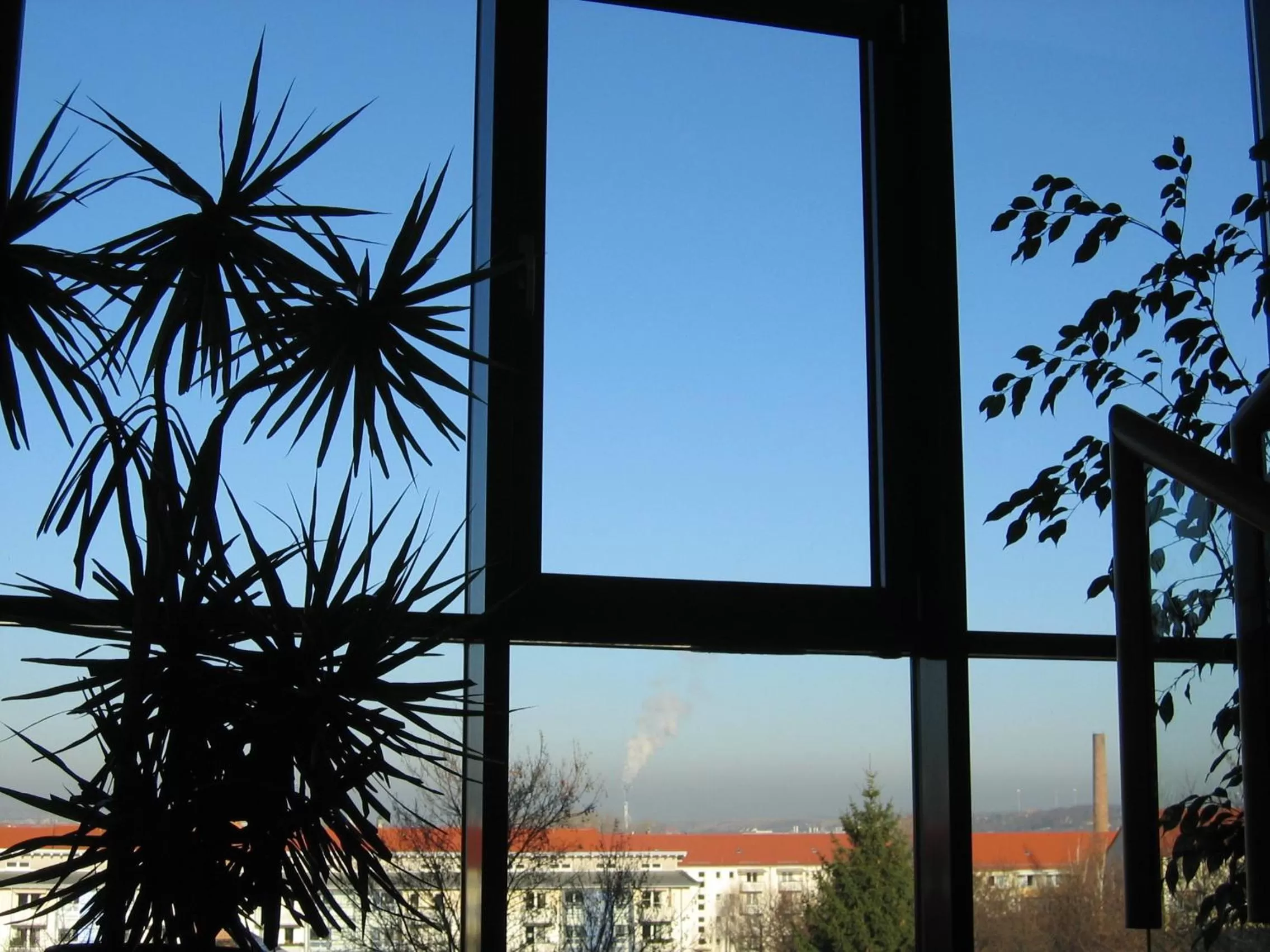 View (from property/room) in Hotel Carat