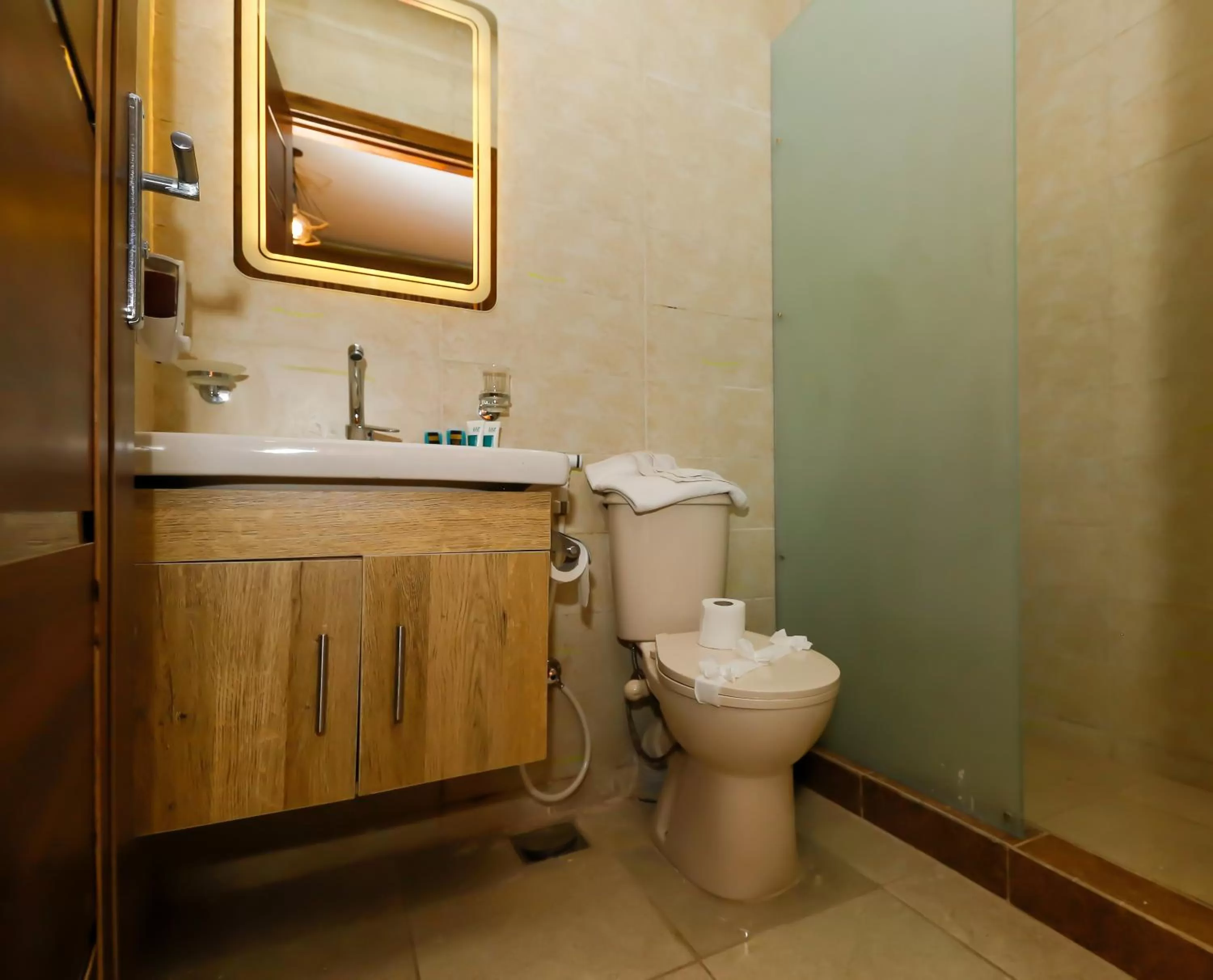 Toilet, Bathroom in King Cheops Inn - Pyramid View