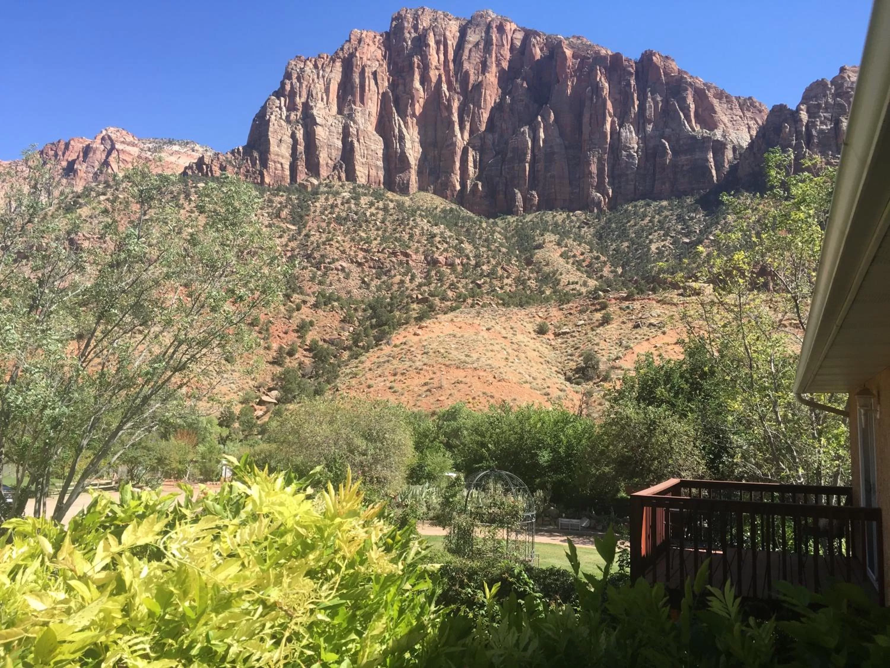 Balcony/Terrace in Harvest House Bed and Breakfast