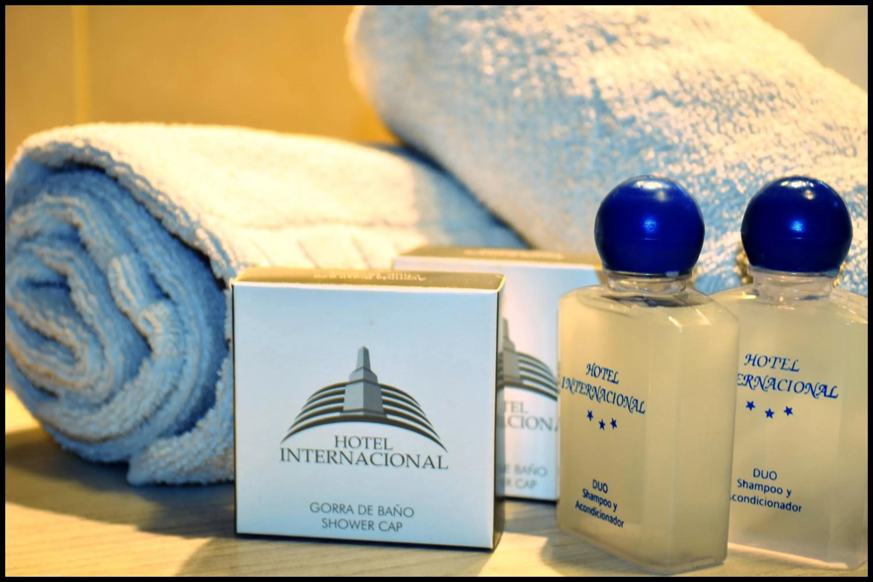 Property logo or sign in Hotel Internacional