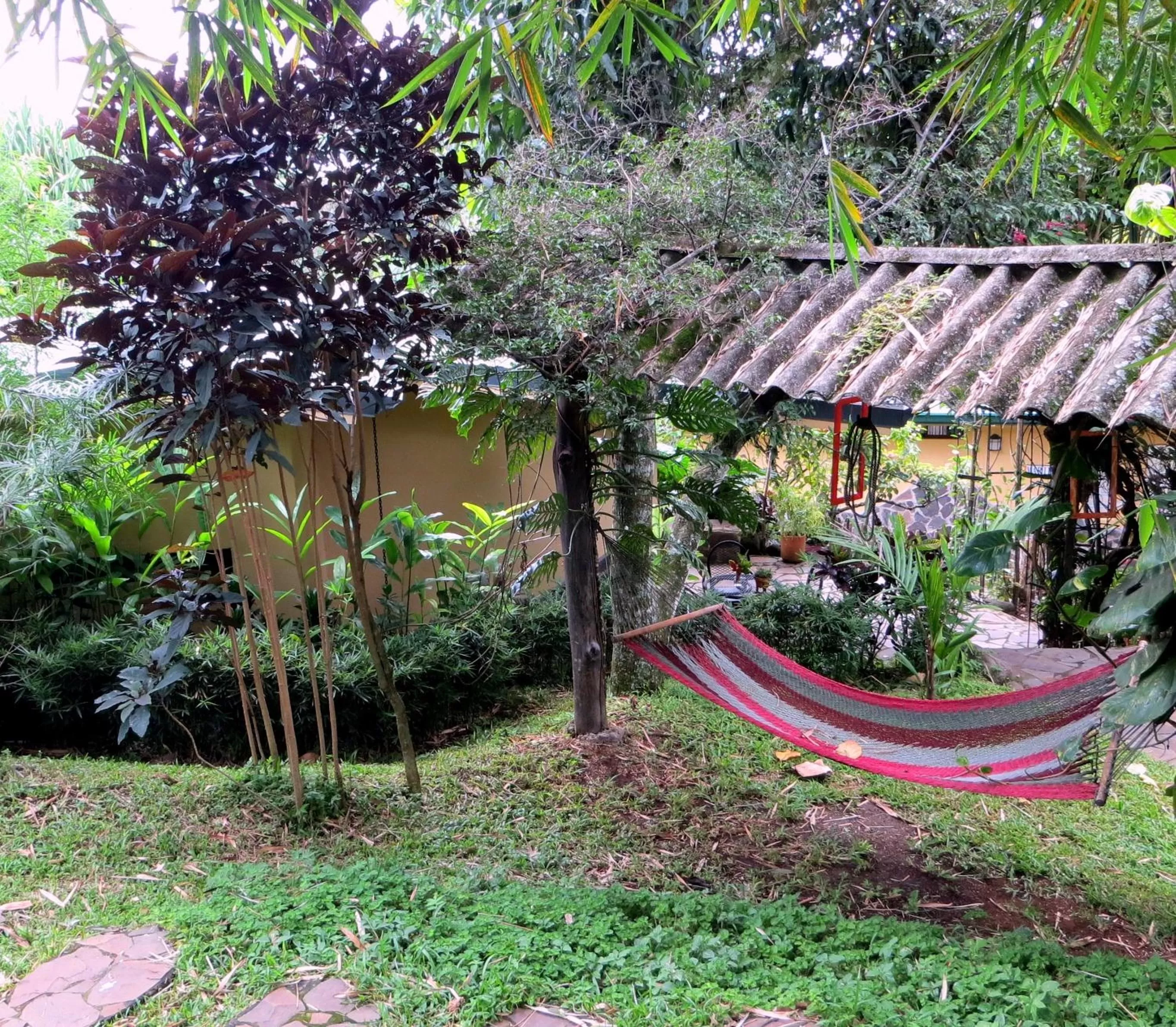 Patio in Pura Vida Hotel