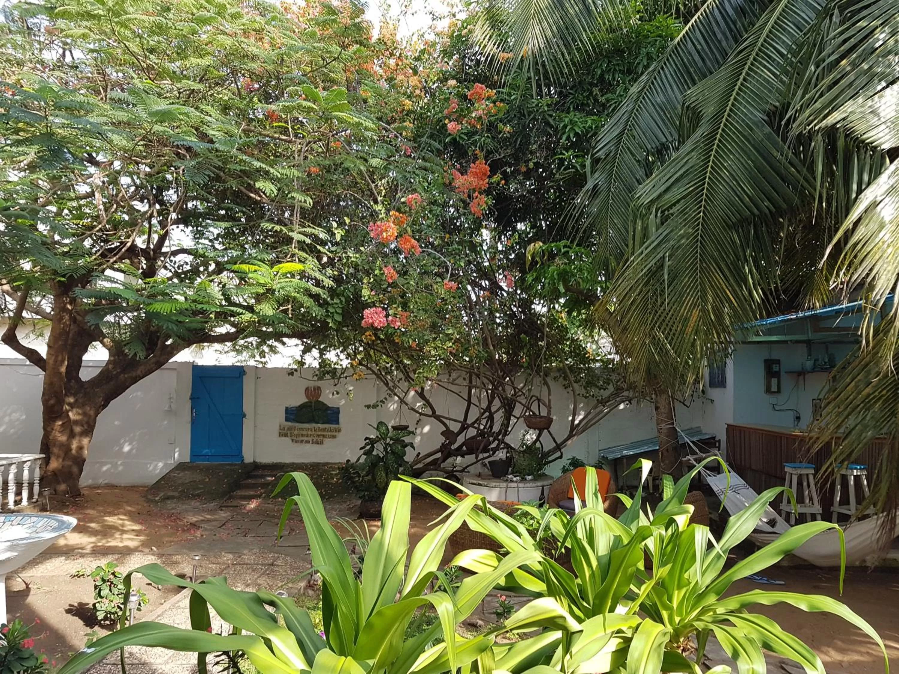 Garden, Property Building in Résidence Tichani Club