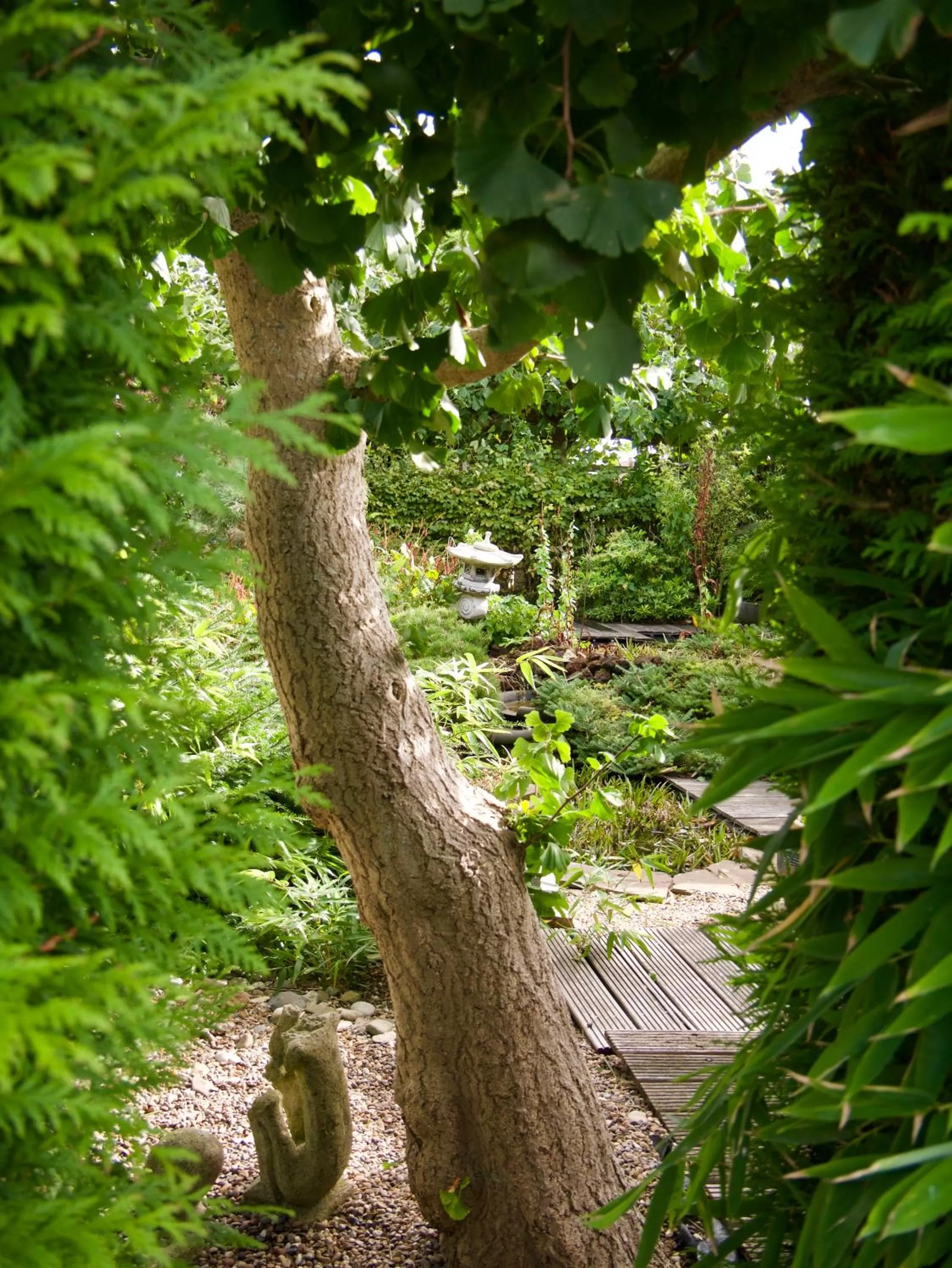 Garden in B&B “Te Warskip bij BlokVis”