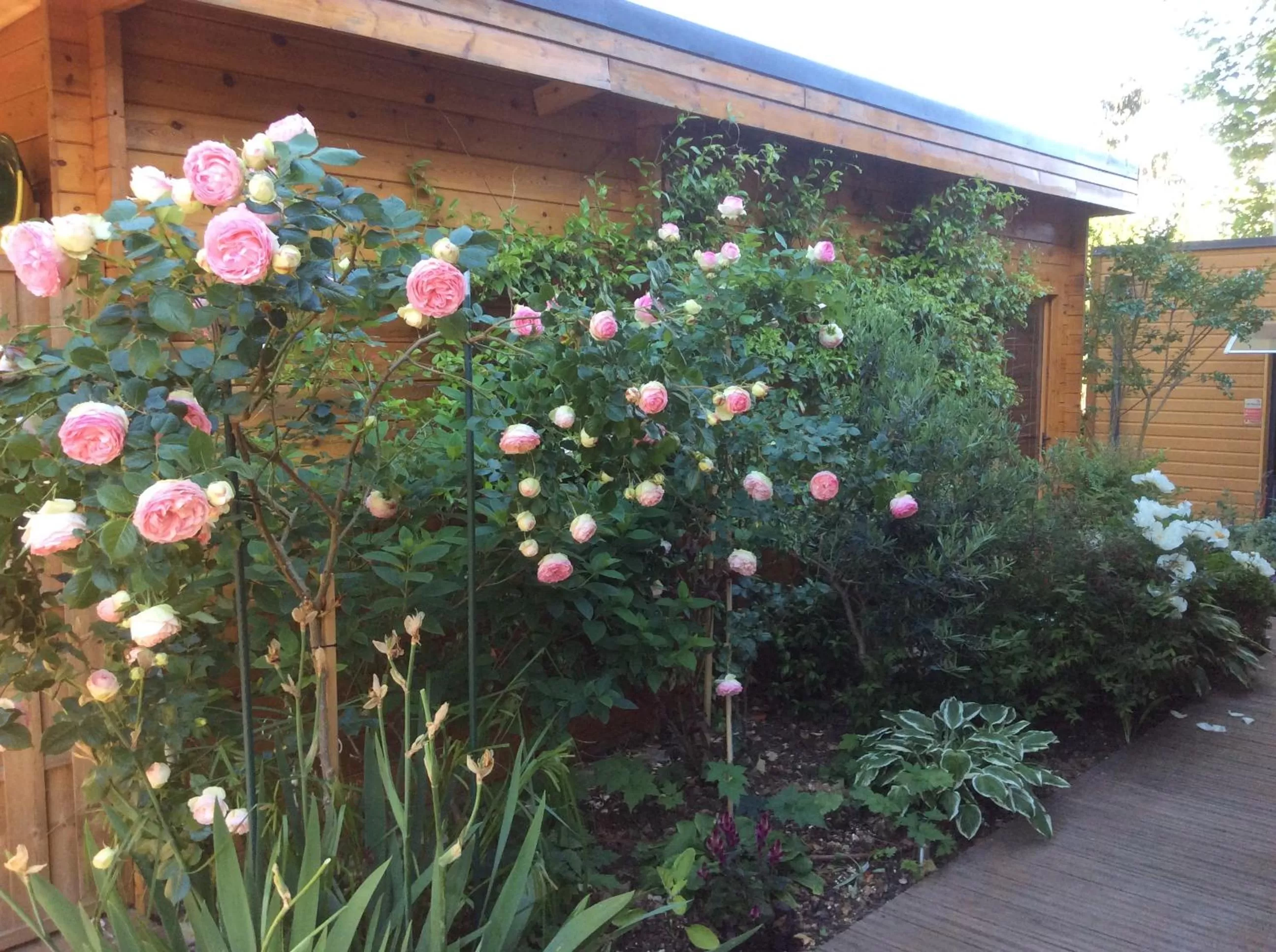Garden in Les Chambres D'oriane