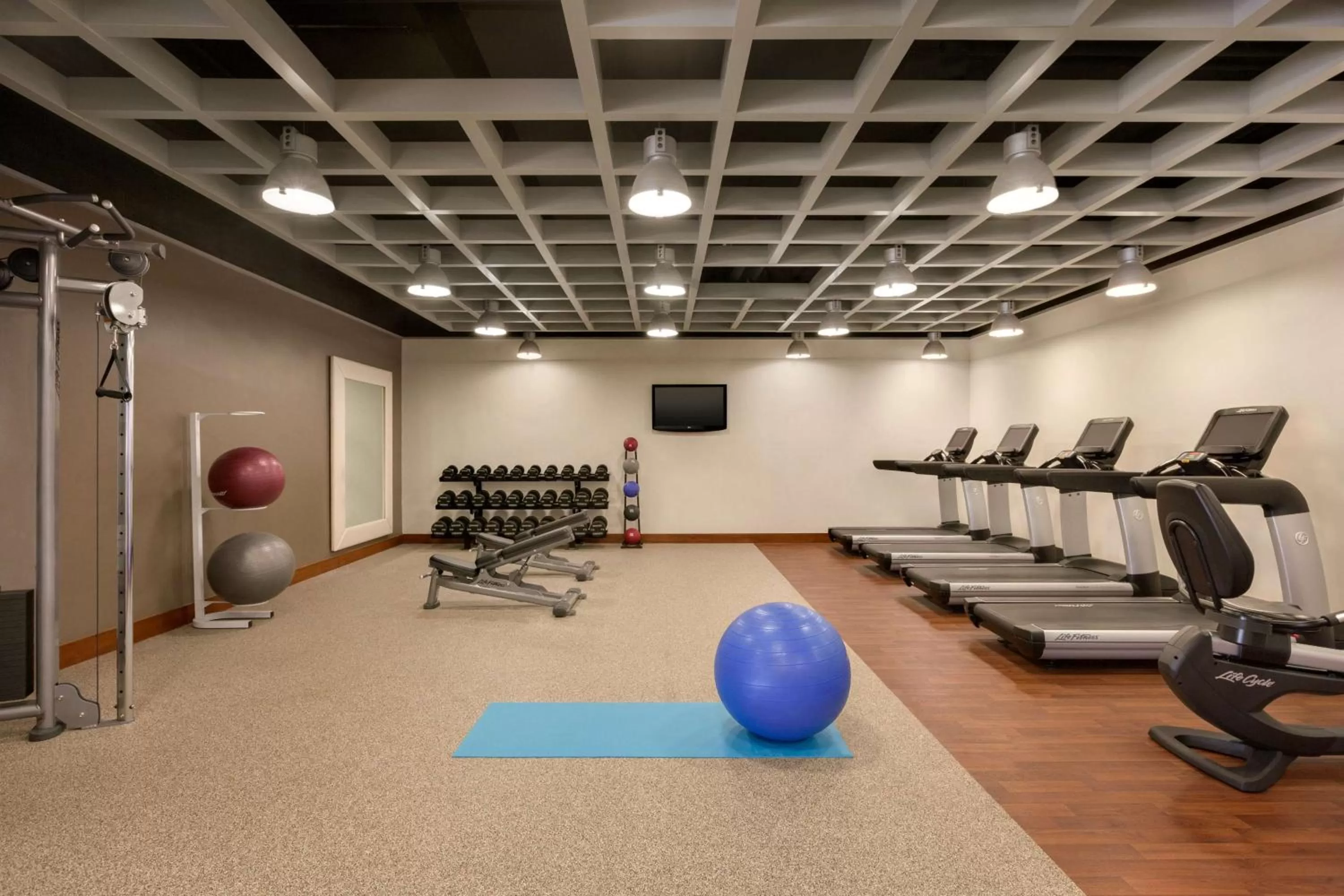 Fitness centre/facilities in Hilton Baltimore BWI Airport