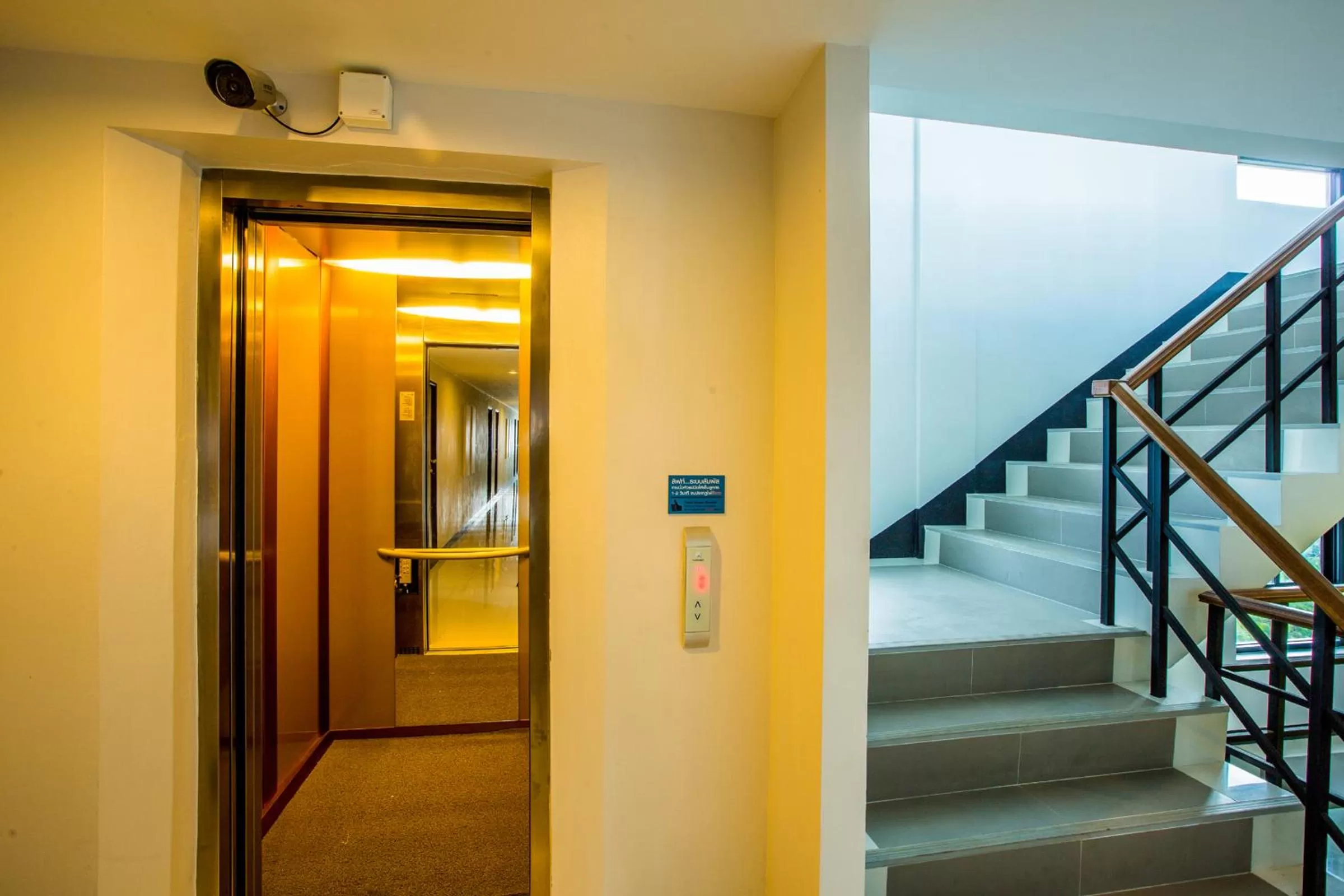 Other in Sleep Whale Hotel