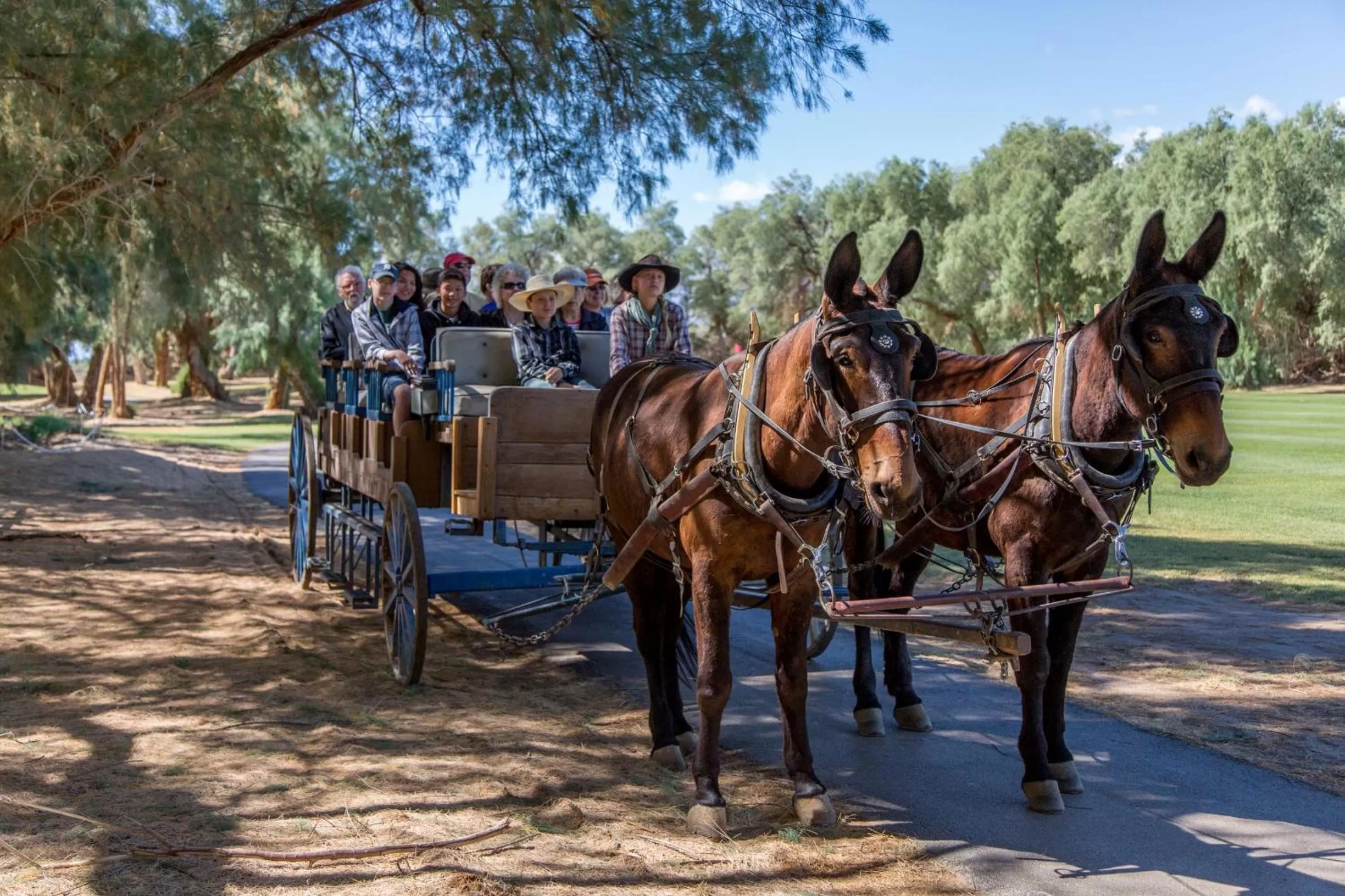 Activities in The Ranch At Death Valley