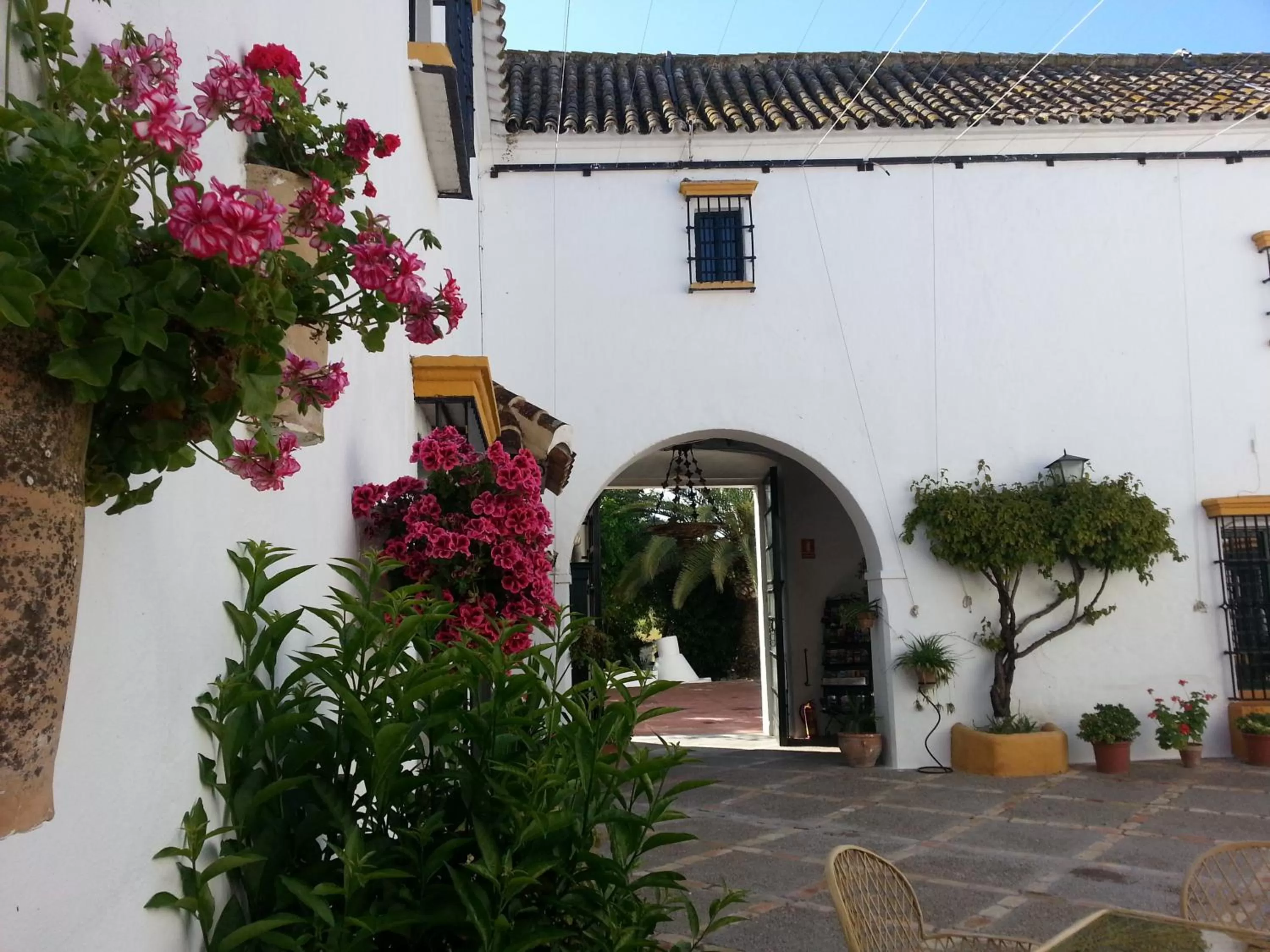 Patio in Hacienda El Santiscal