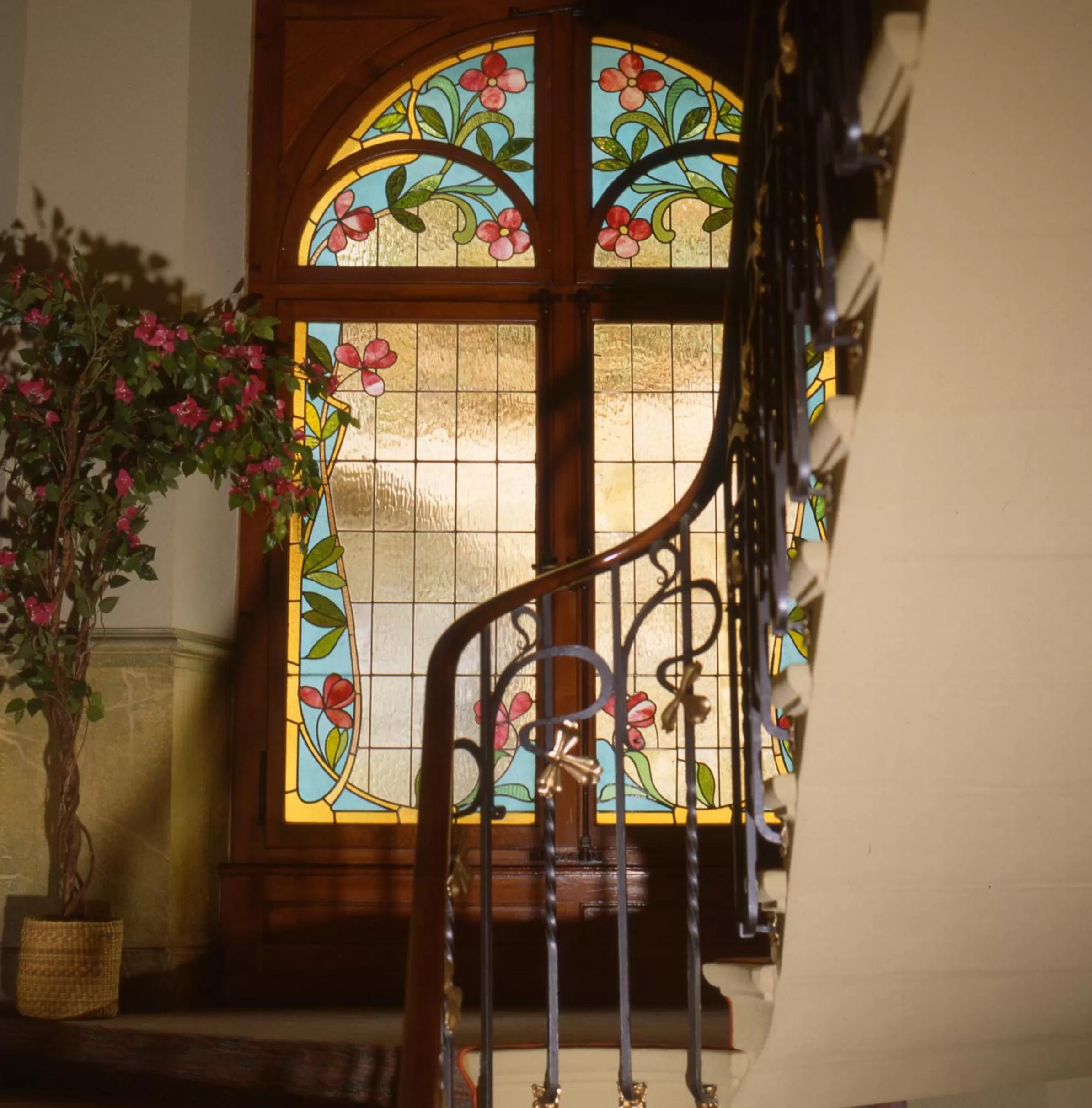 Area and facilities in Villa Toscane