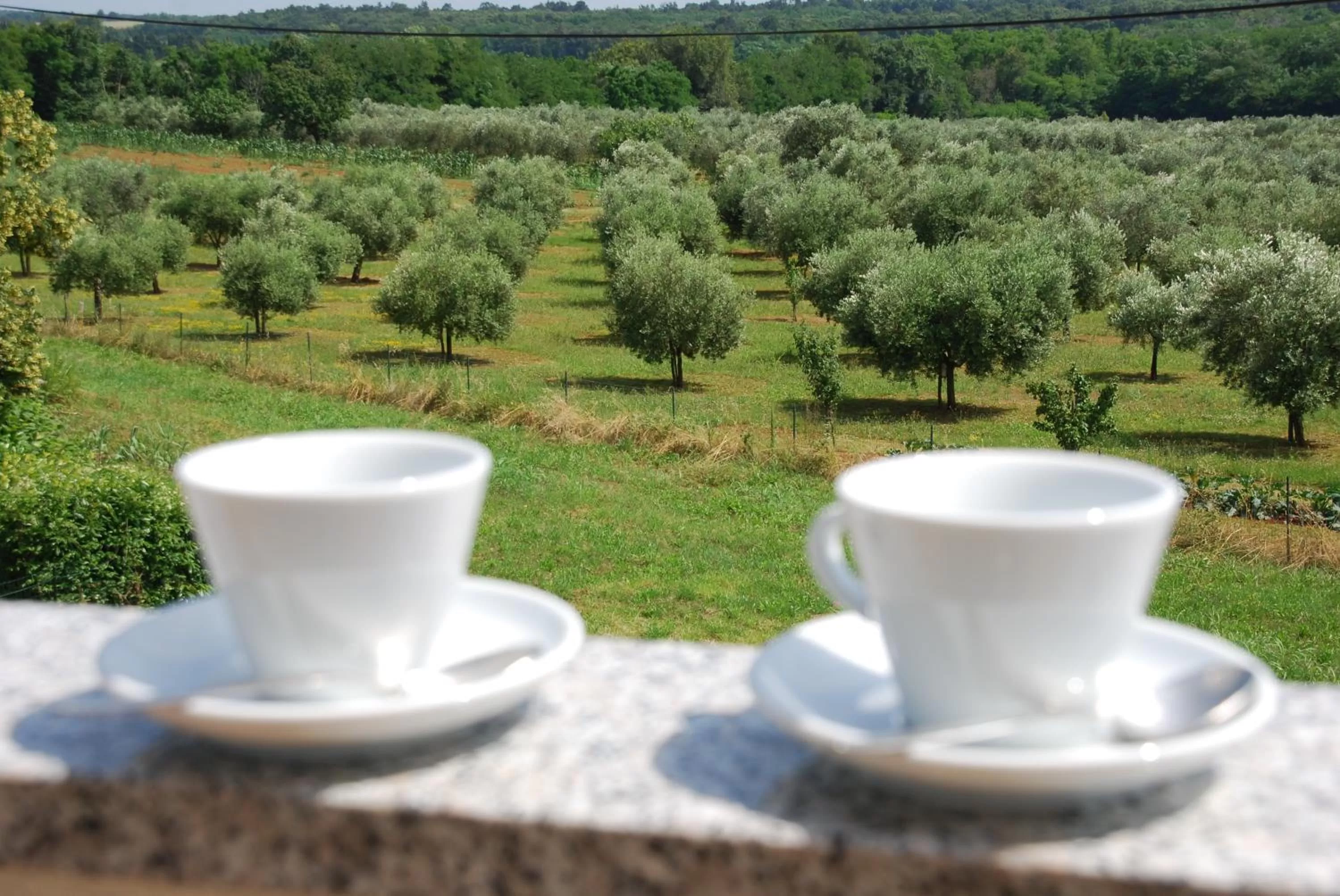Day, Coffee/Tea Facilities in Rooms Edda