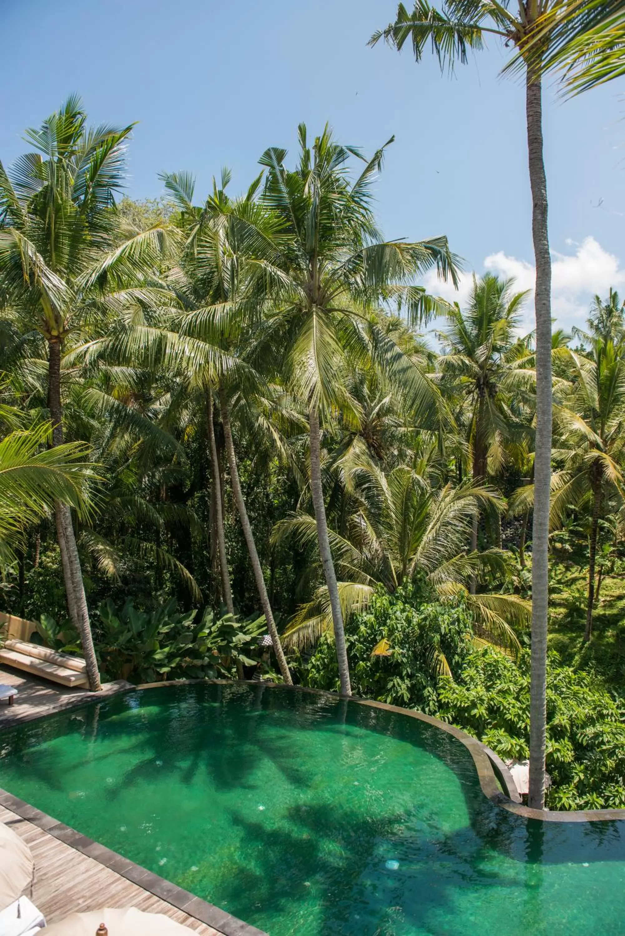 Pool view in Komaneka at Rasa Sayang Ubud