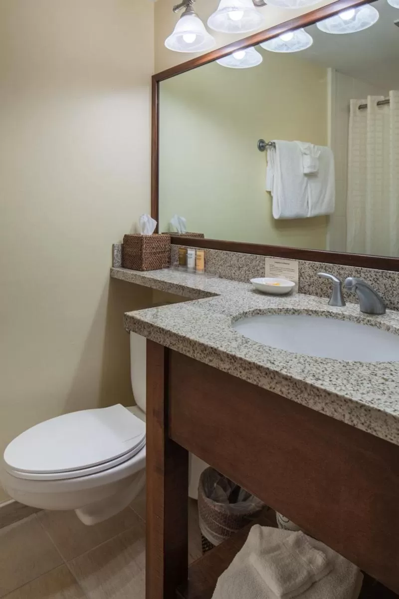 Bathroom in New Harmony Inn Resort and Conference Center