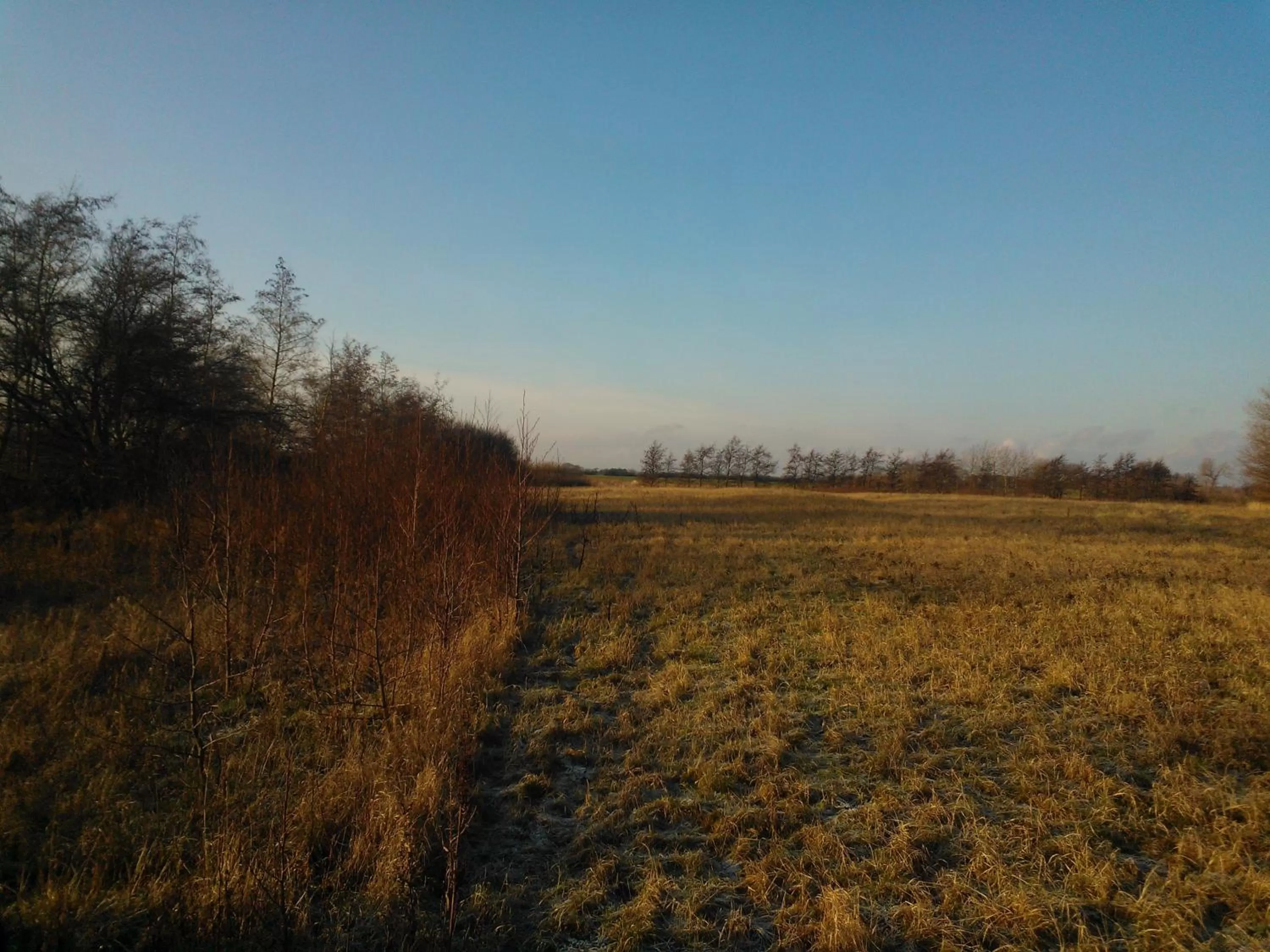 Natural Landscape in Holmehuset Bed & Breakfast